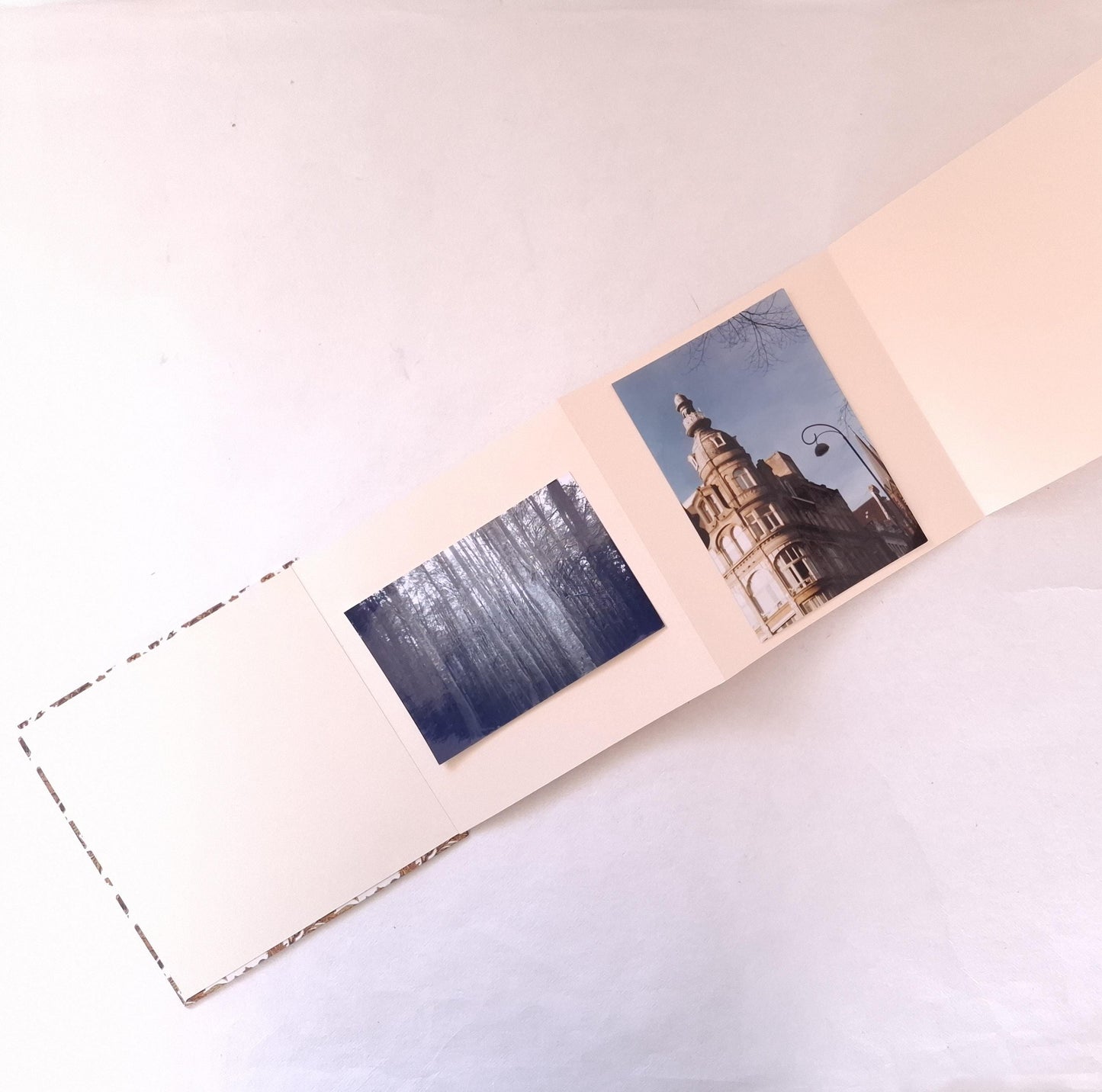 Portafoto quadrato a Leporello con stampa floreale vintage