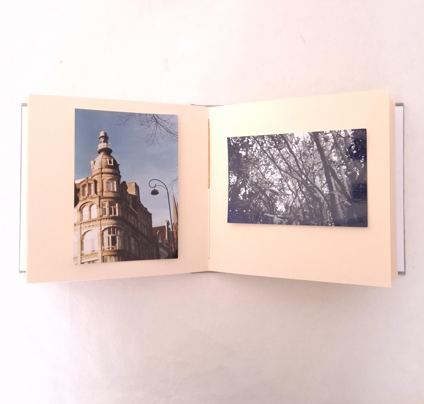 Album fotografico quadrato in malva e miele con fiore di Sambuco pressato