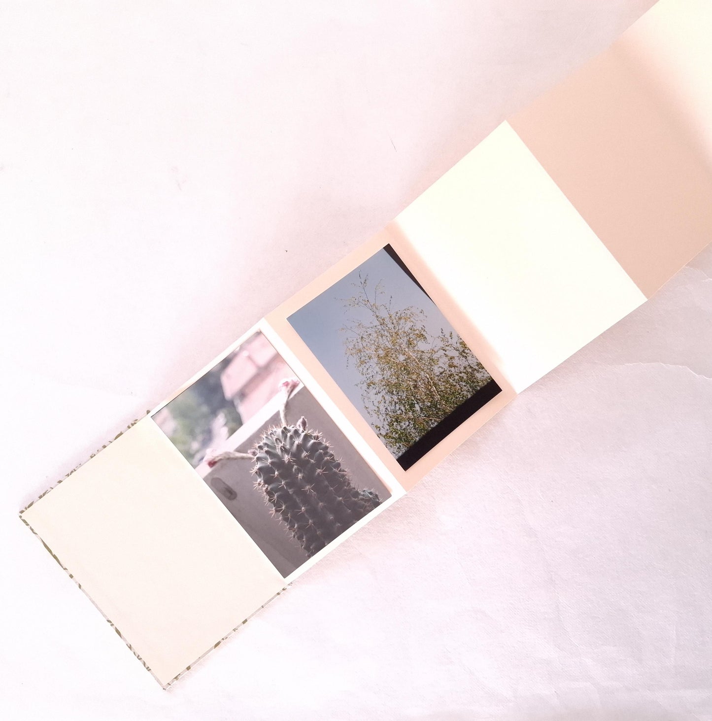 Album a fisarmonica rettangolare con stampa di foglie