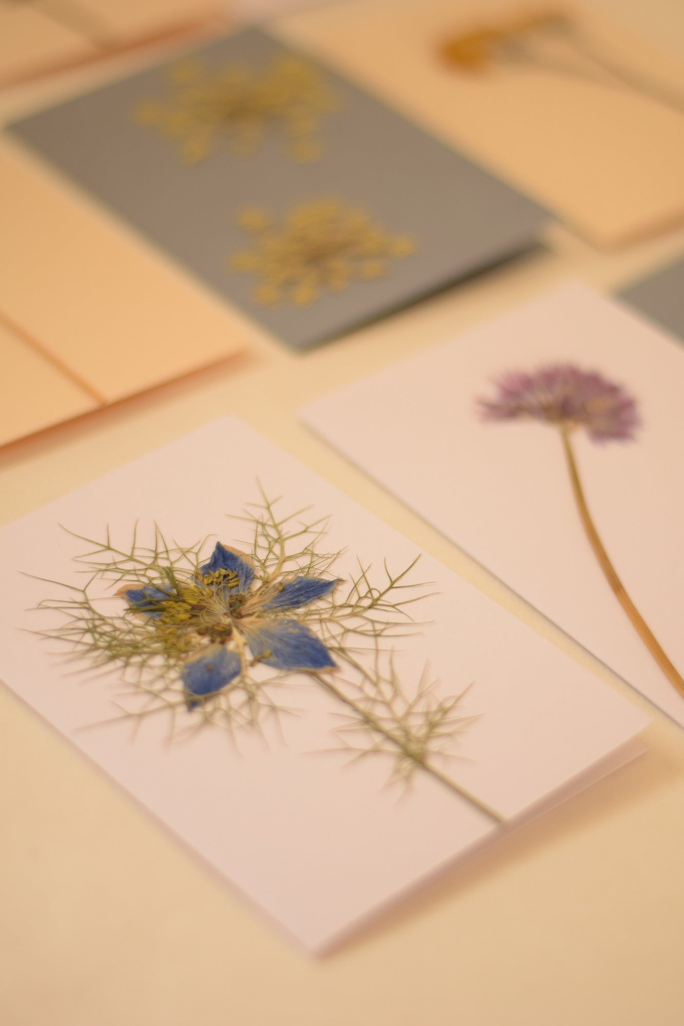 Biglietti con fiori e foglie pressati