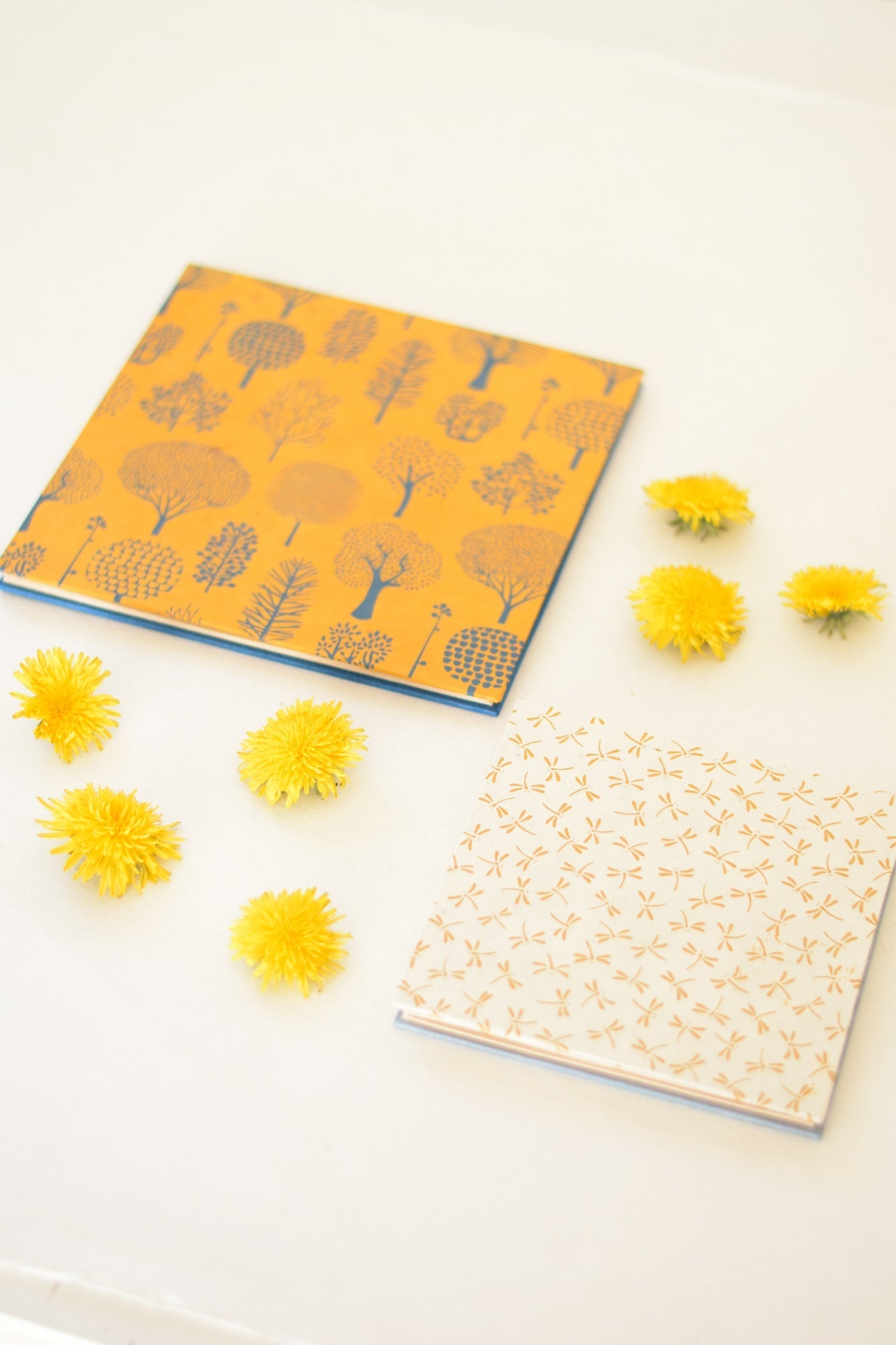 Mini album a fisarmonica rivestiti con carte artigianali