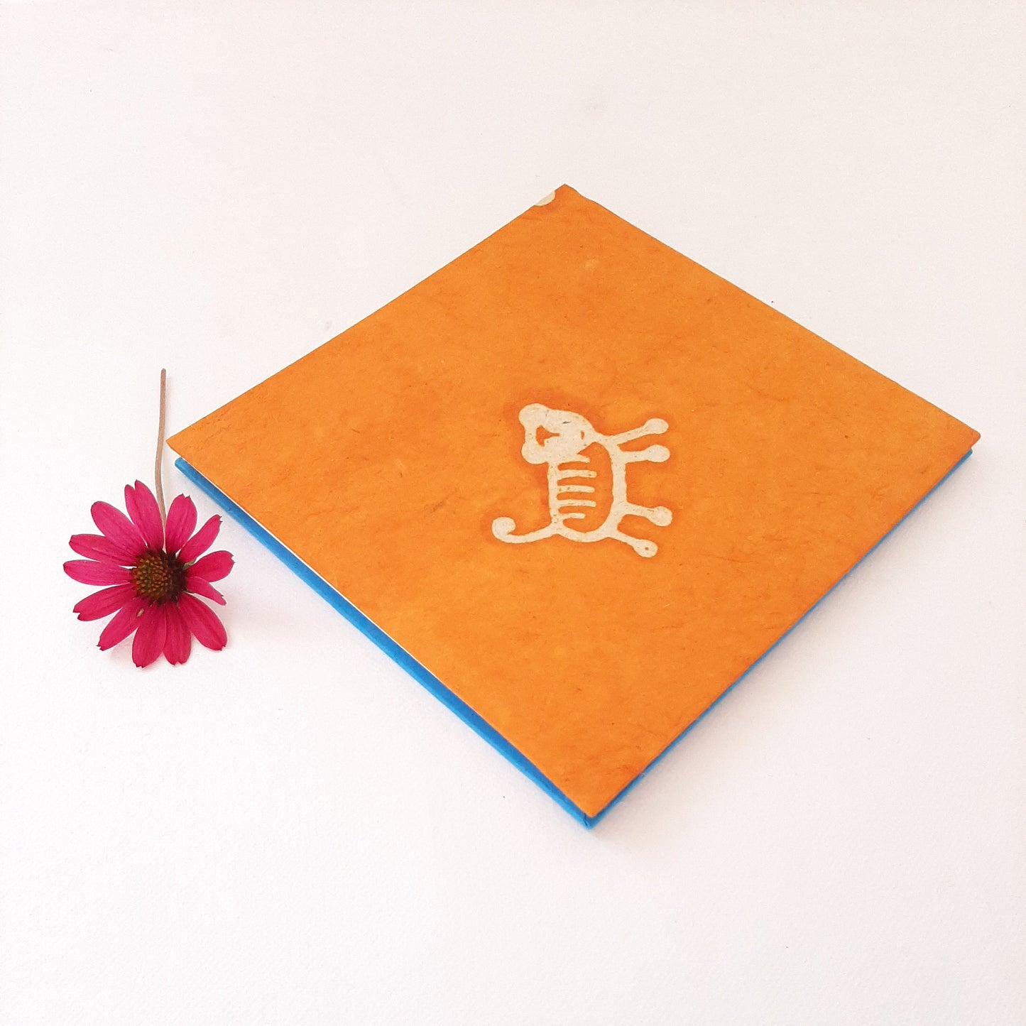 Leporello quadrato con tigre in arancione e azzurro