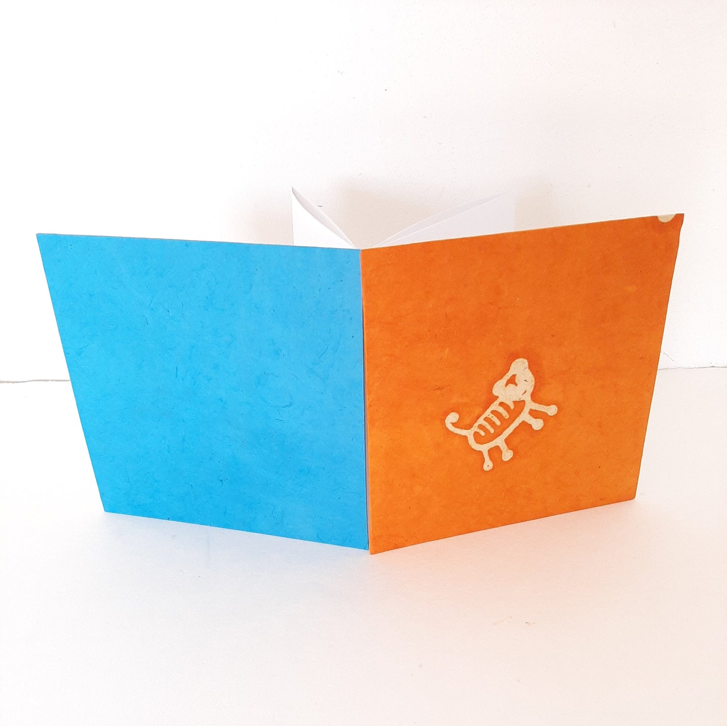 Leporello quadrato con tigre in arancione e azzurro