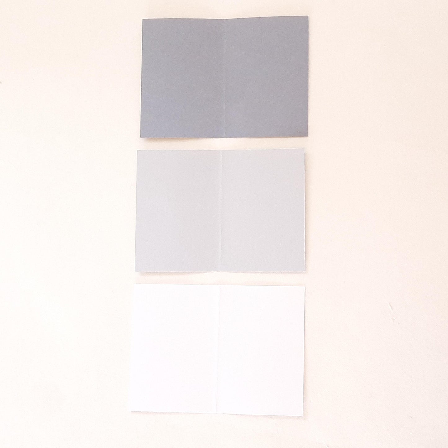Set di tre biglietti con fiori e foglie veri pressati e busta origami