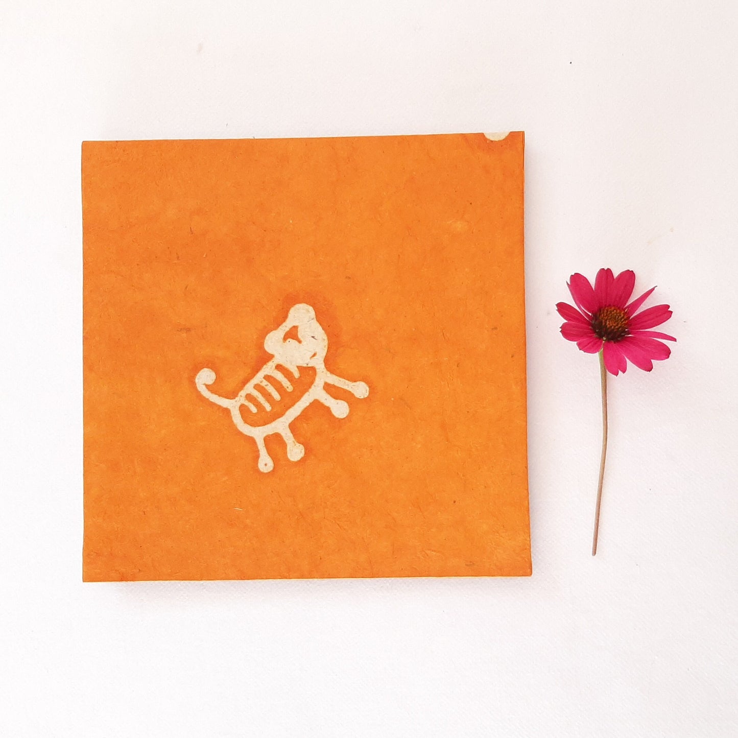 Leporello quadrato con tigre in arancione e azzurro