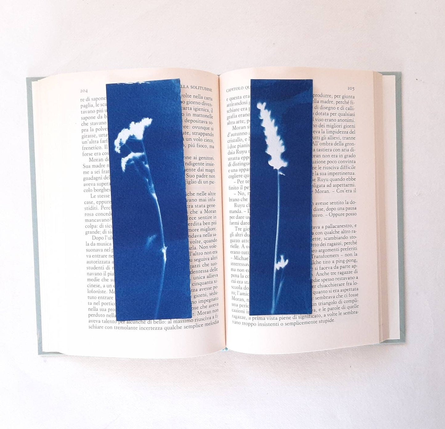 Set di quattro segnalibri con stampa botanica a Cianotipo