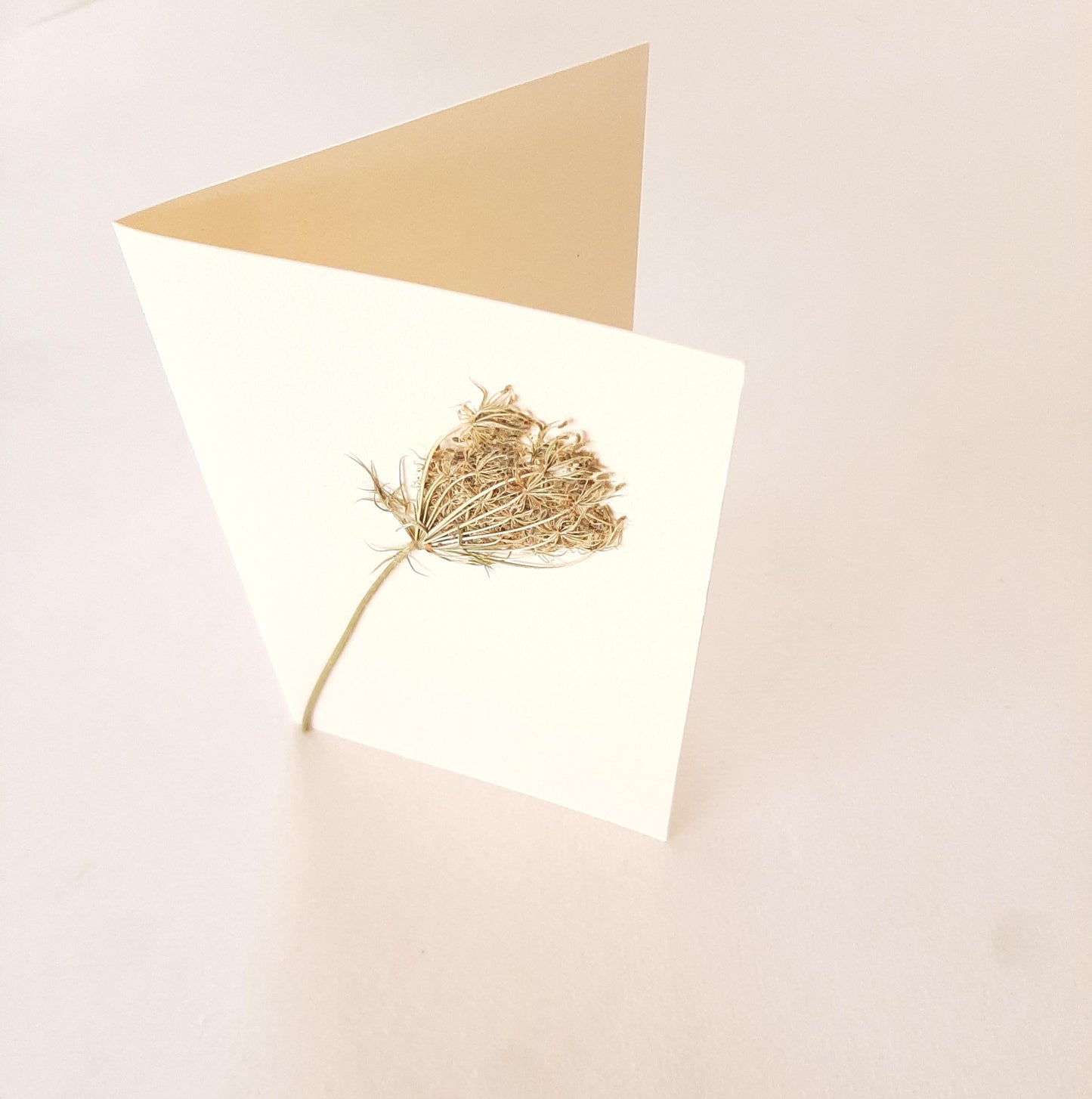 Set di biglietti di auguri con foglie e fiori veri pressati e busta Origami