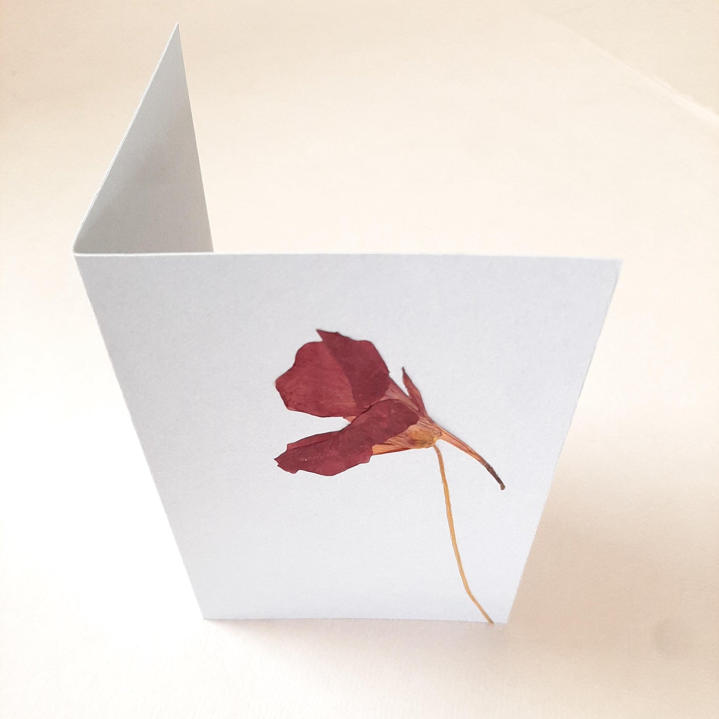 Biglietti con fiori pressati e busta Origami con Ortensia e Lavanda