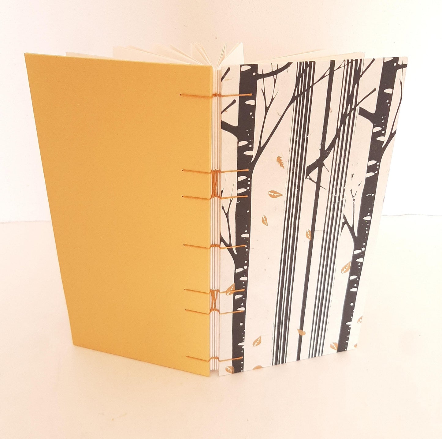 Album da disegno con pagine avorio e betulle in grafite e miele