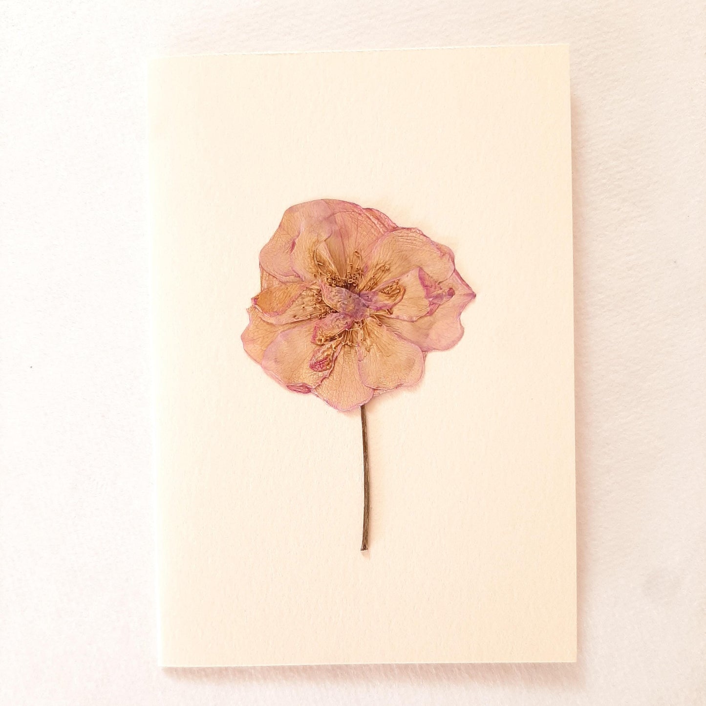 Set di tre biglietti auguri con fiori veri pressati e busta a origami
