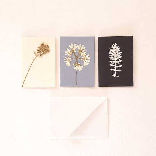 Set di biglietti di auguri con foglie e fiori veri pressati e busta Origami