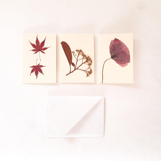 Set biglietti con foglie e fiori veri pressati di Papavero e Acero Giapponese