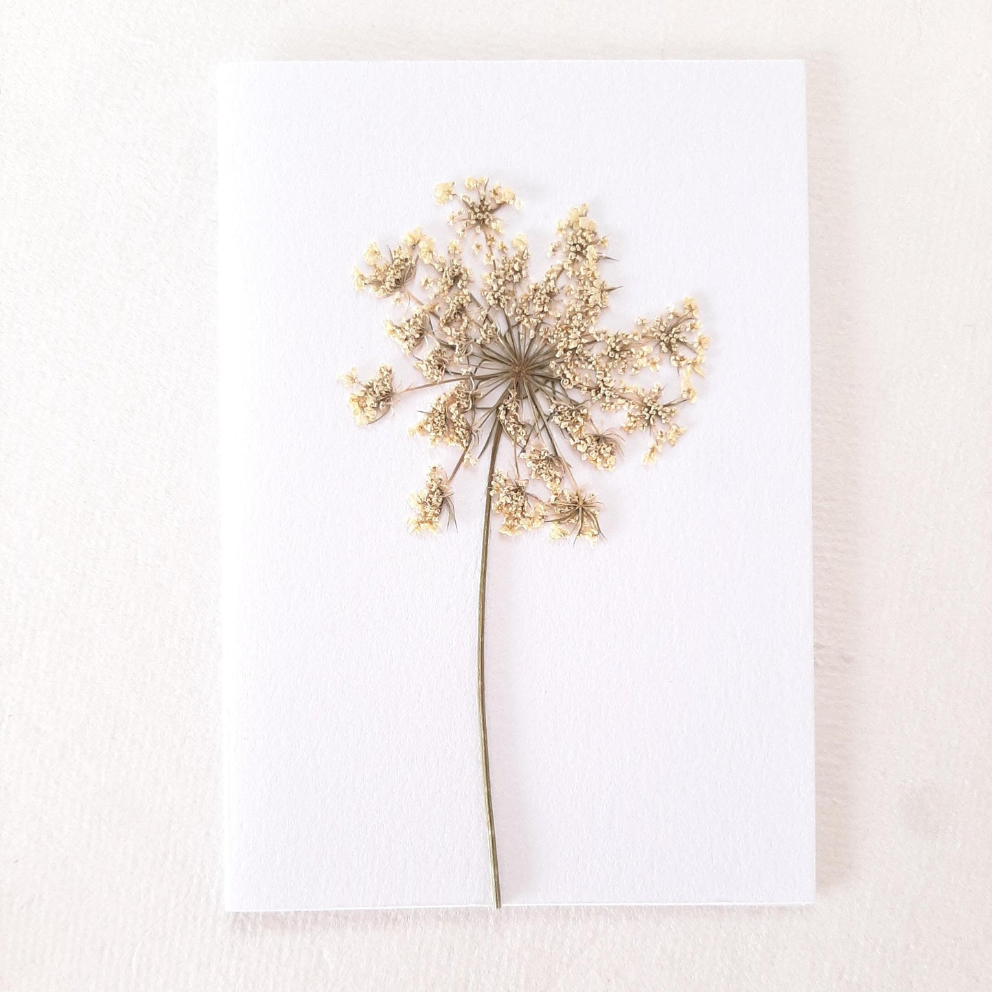 Set di tre biglietti con fiori e foglie veri pressati e busta origami