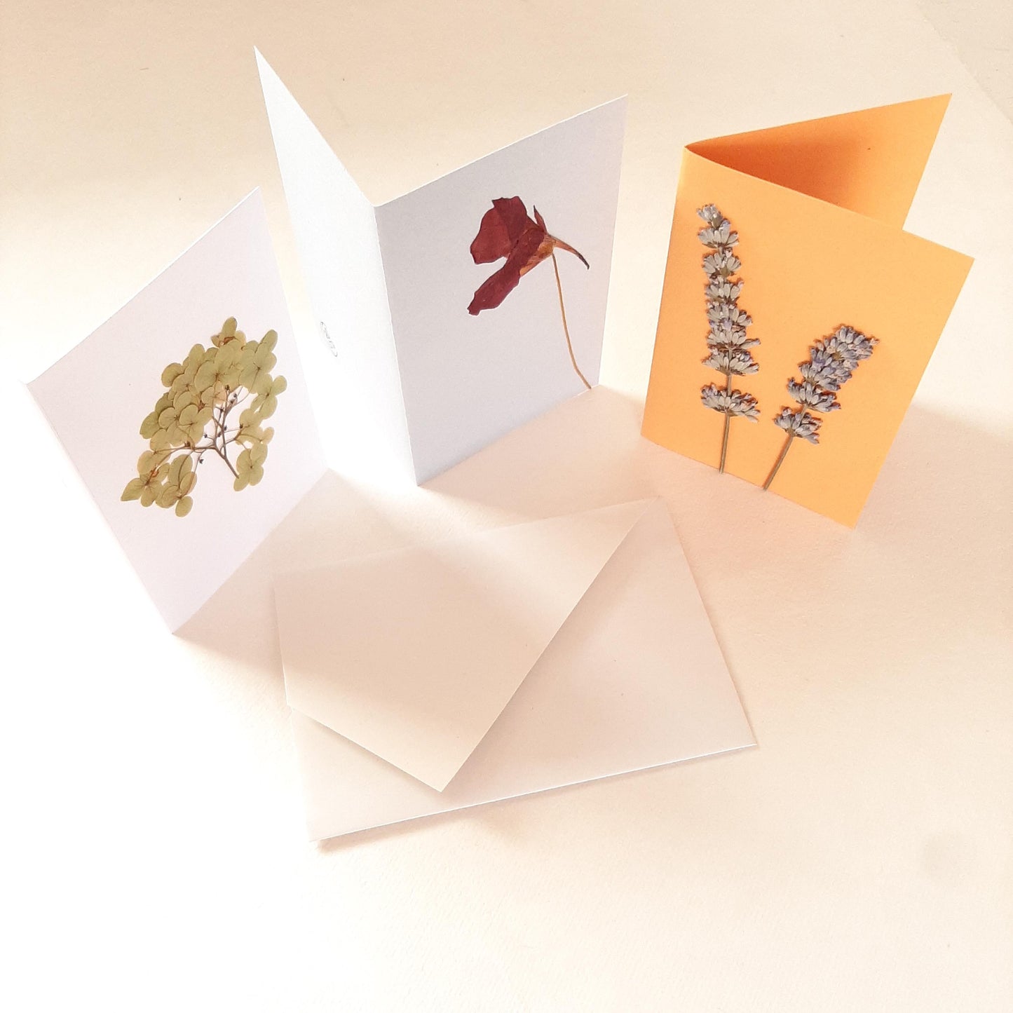 Biglietti con fiori pressati e busta Origami con Ortensia e Lavanda
