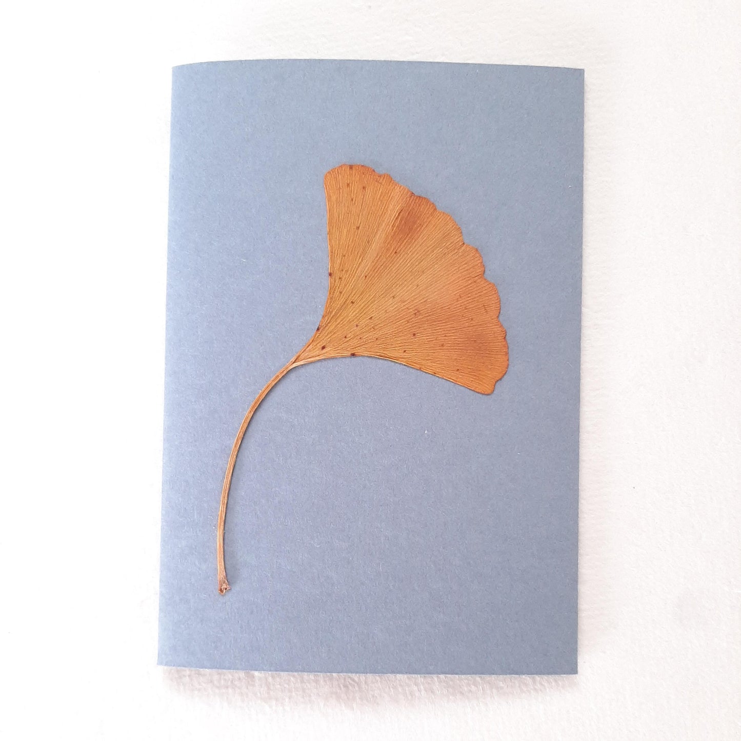 Set di tre biglietti con fiori e foglie veri pressati e busta origami