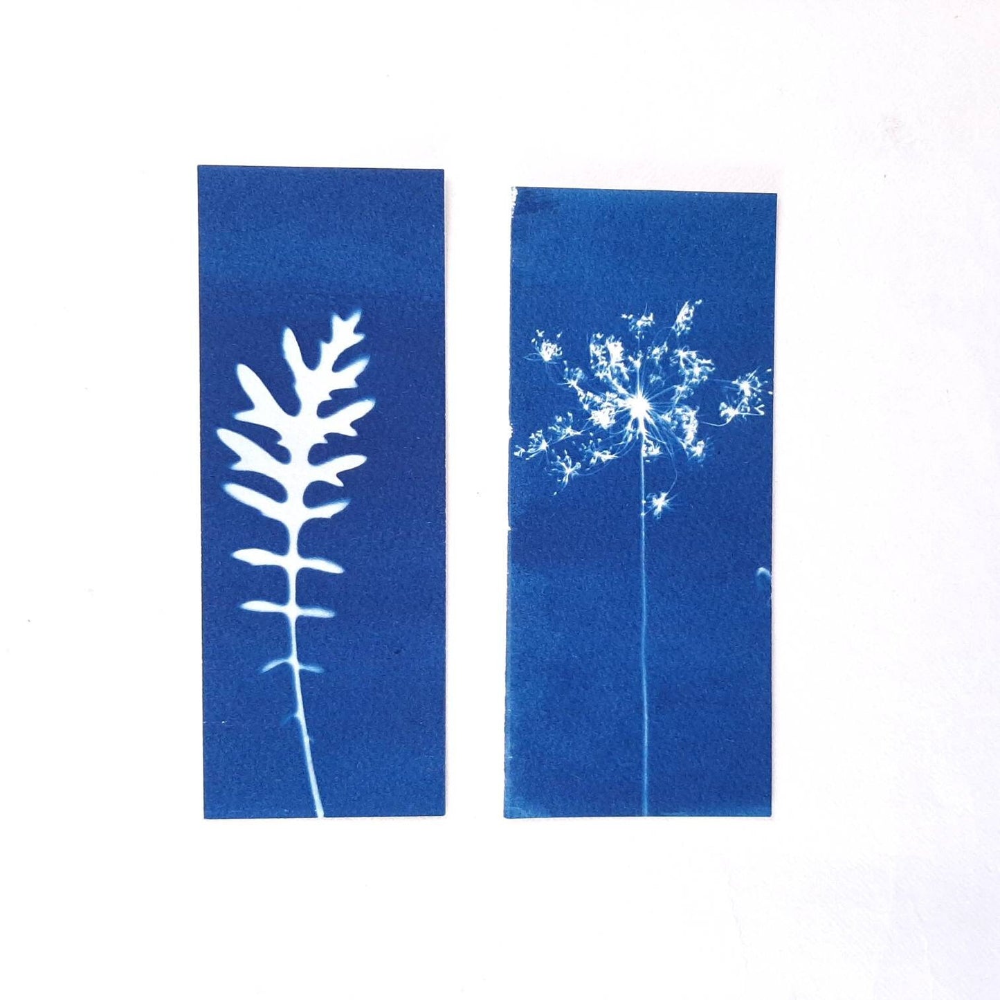 Set di quattro segnalibri con stampa botanica a Cianotipo