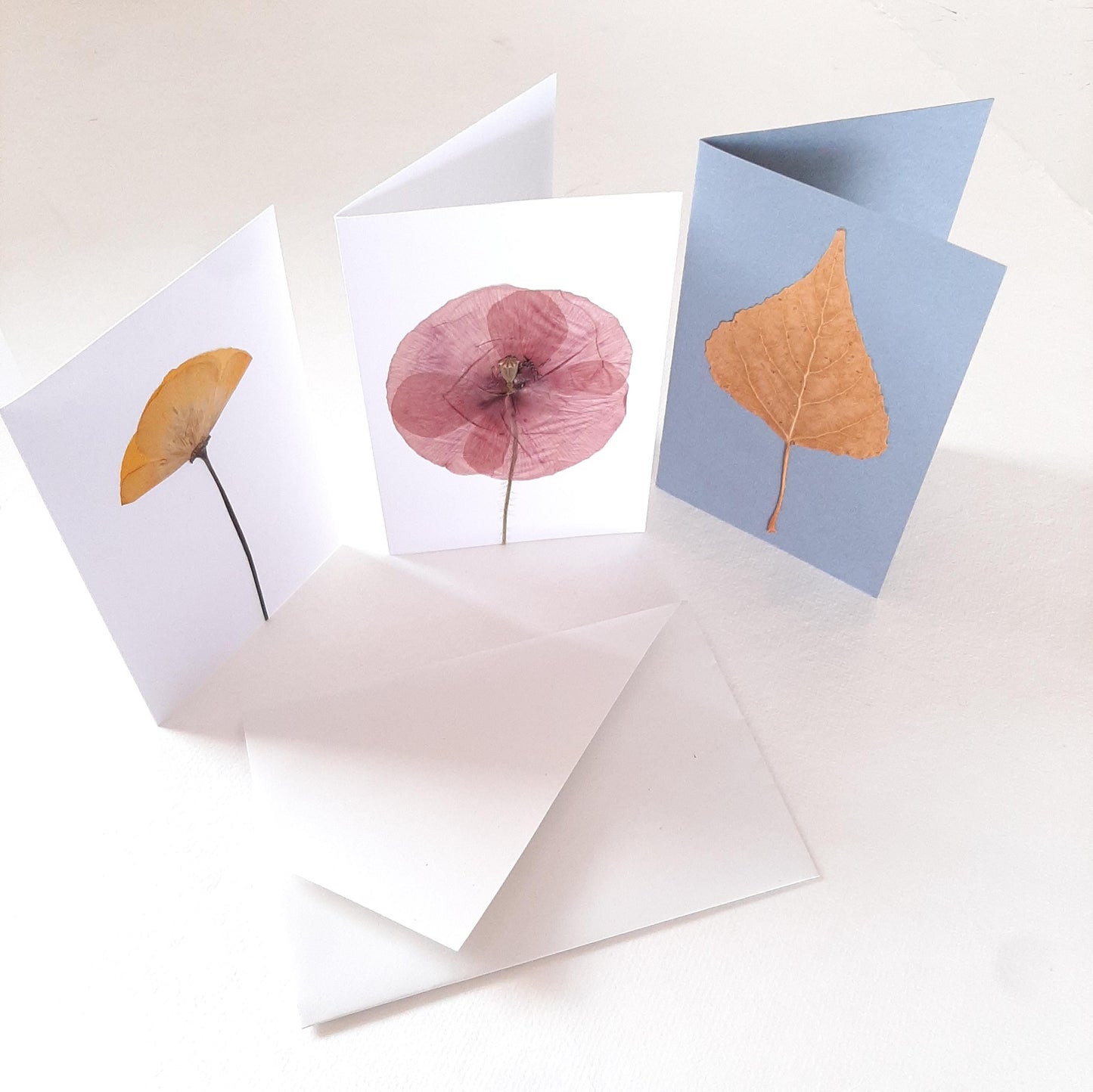 Biglietti auguri con Papavero e foglie pressati e busta origami