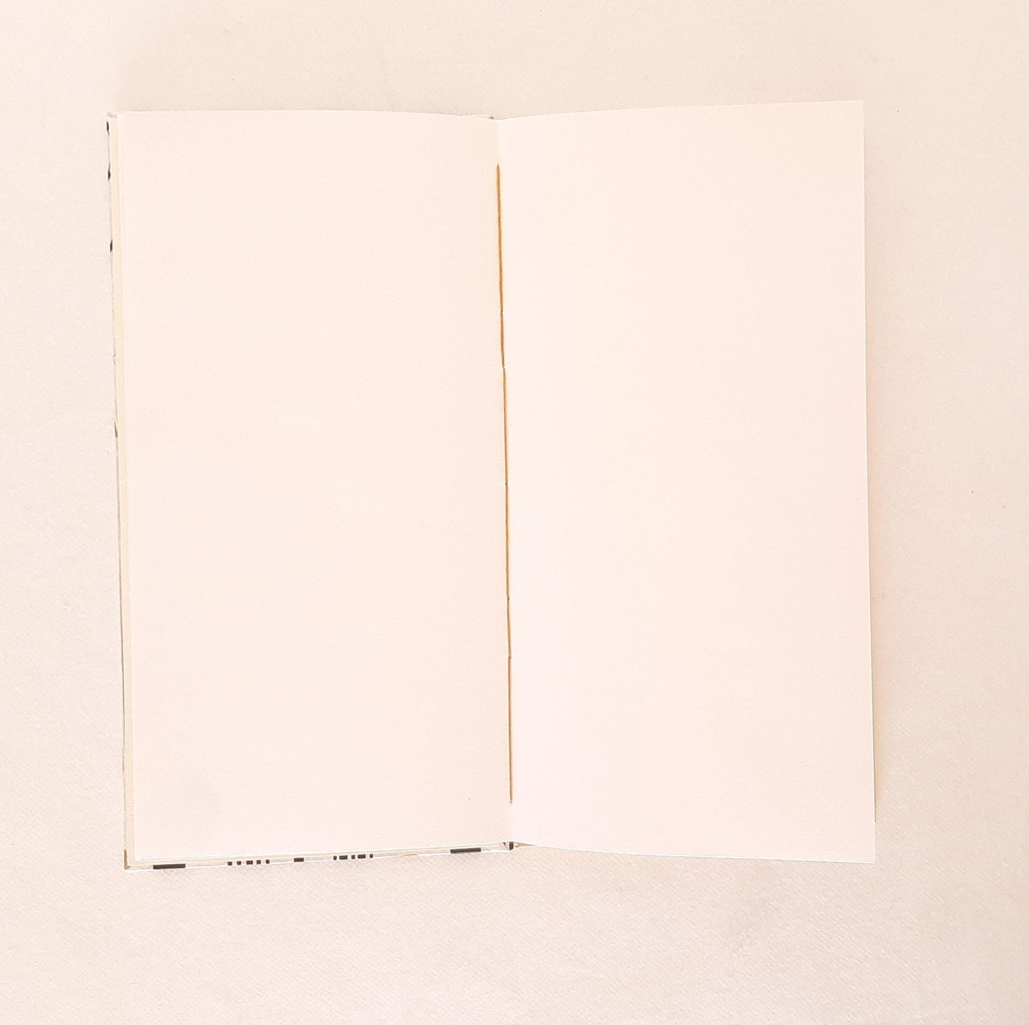 Album da disegno con pagine avorio e betulle in grafite e miele
