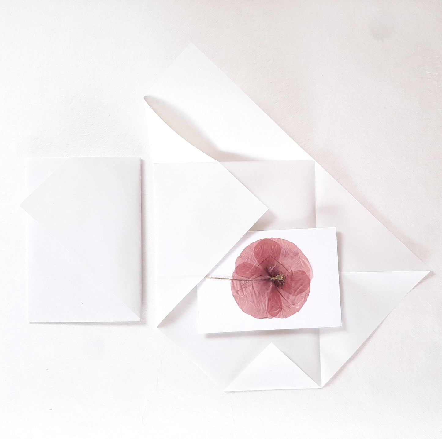 Biglietti auguri con Papavero e foglie pressati e busta origami