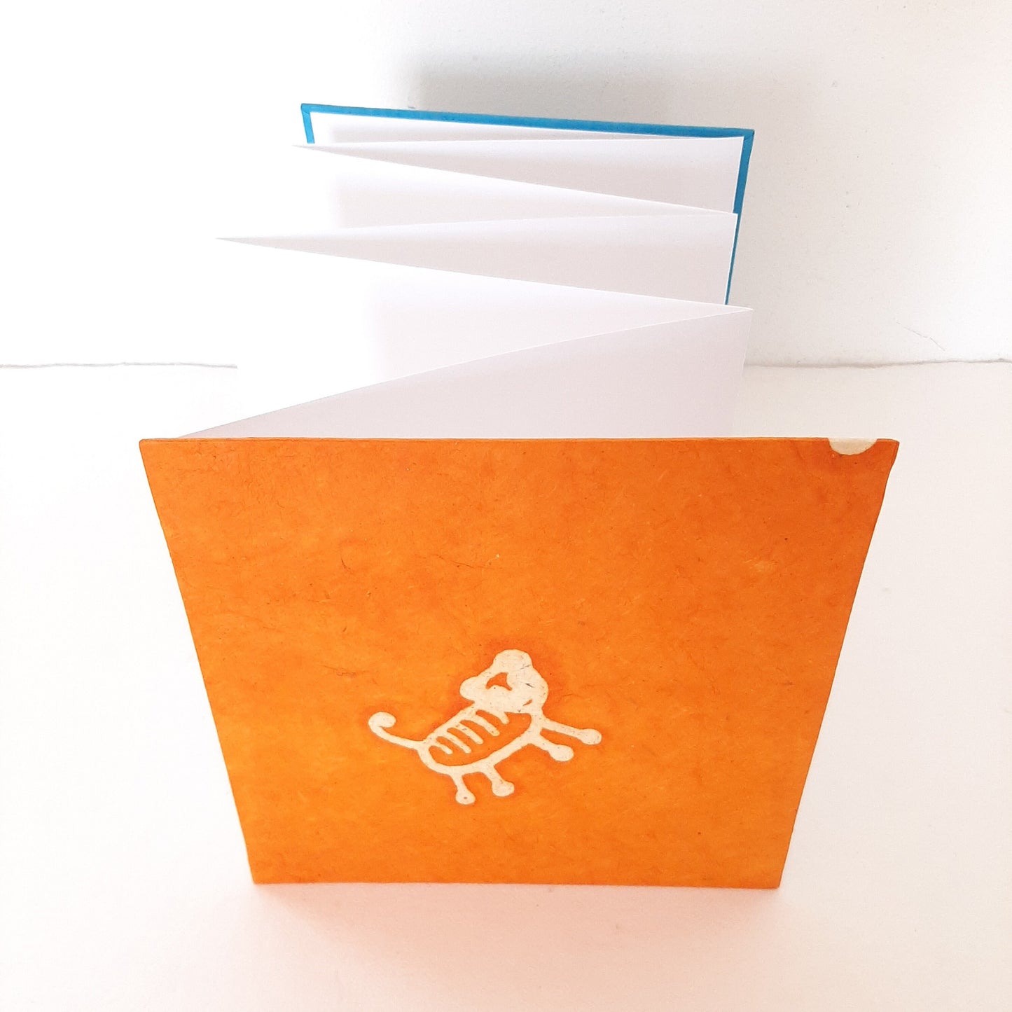 Leporello quadrato con tigre in arancione e azzurro