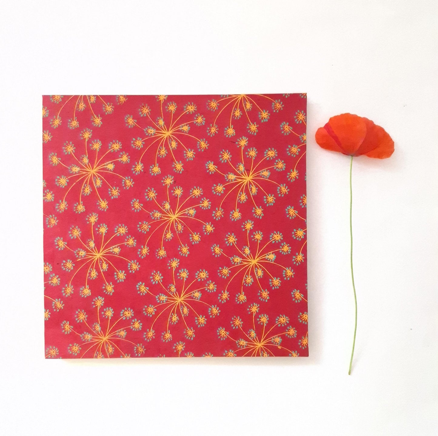 Album a fisarmonica quadrato con fiori di Carota Selvatica