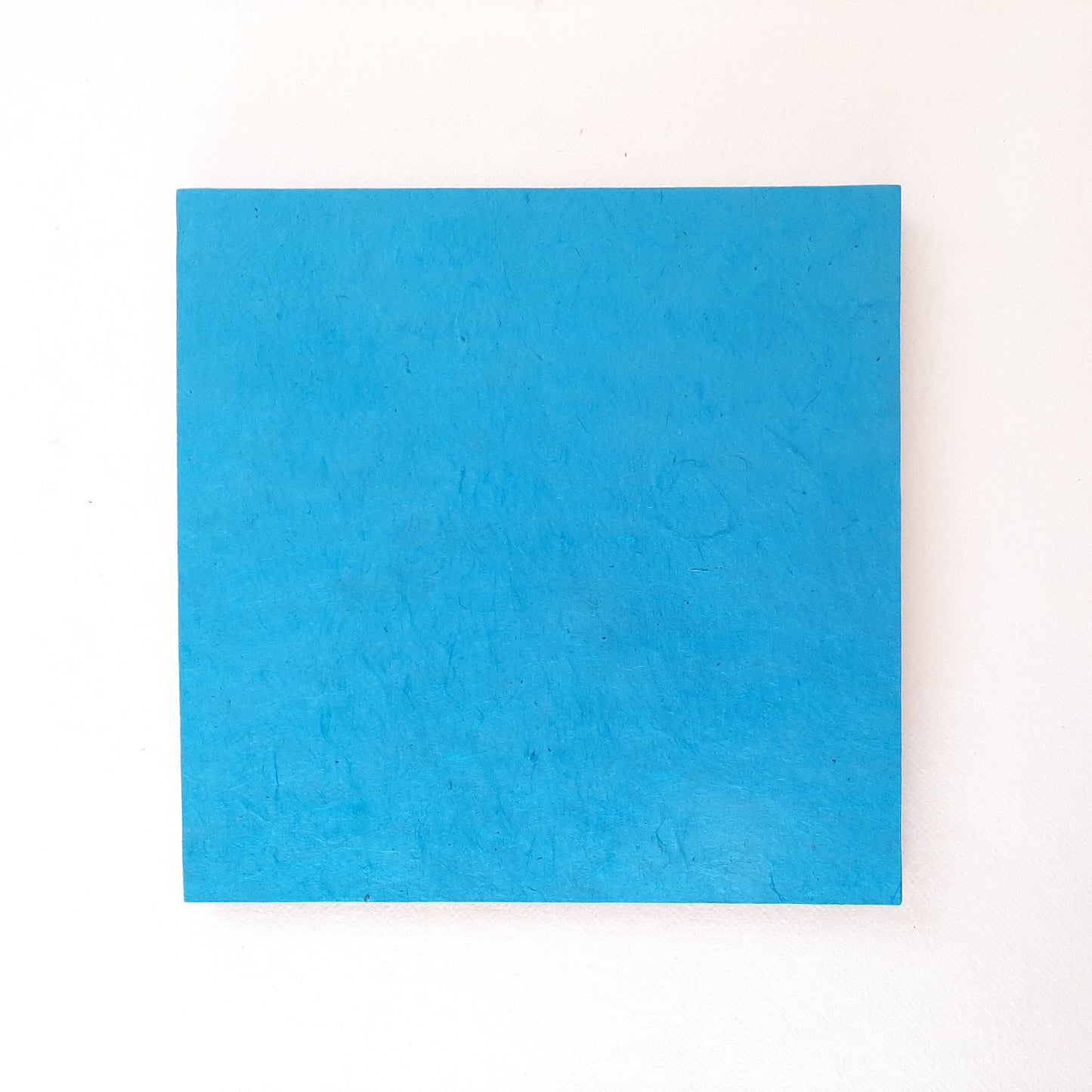 Leporello quadrato con tigre in arancione e azzurro