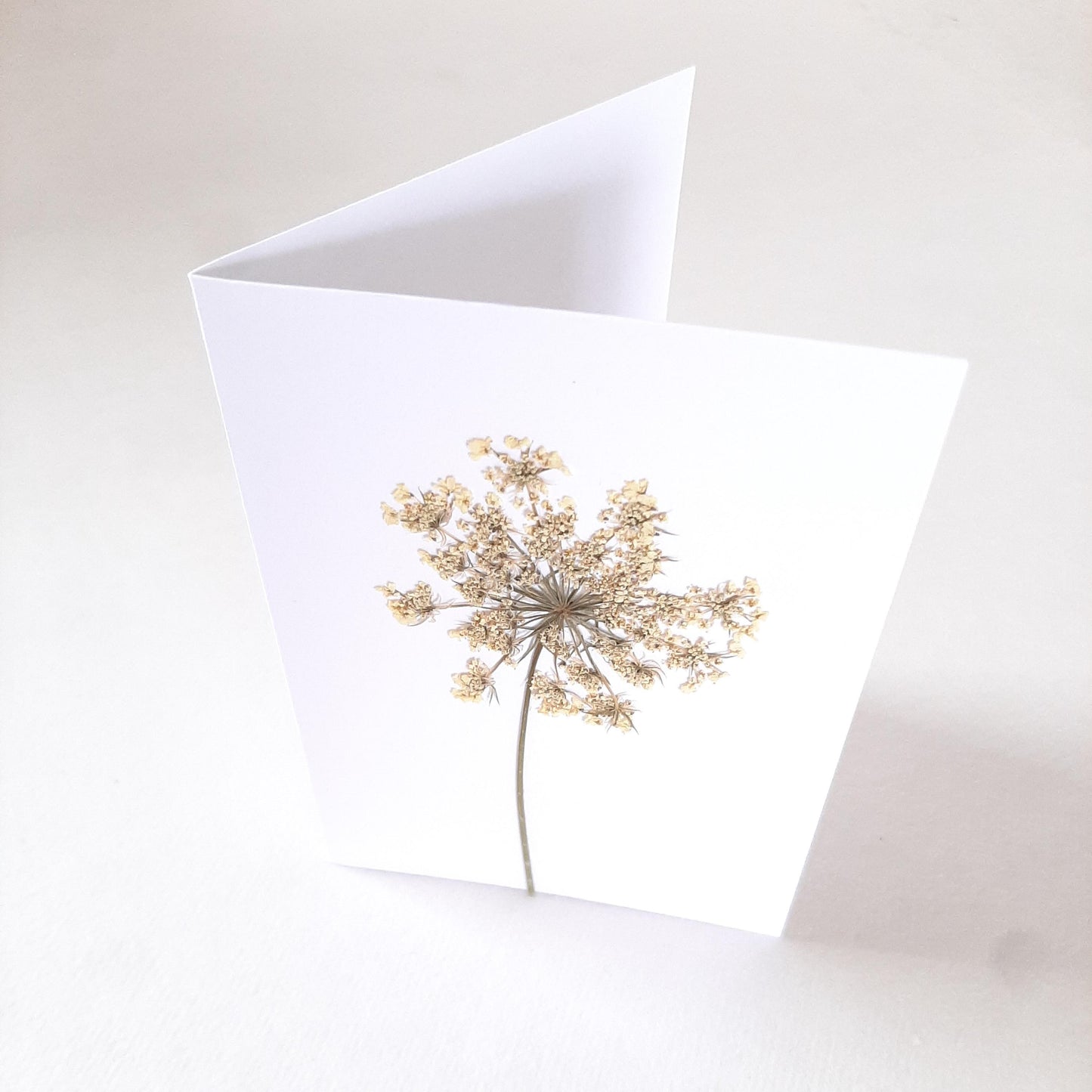 Set di tre biglietti con fiori e foglie veri pressati e busta origami