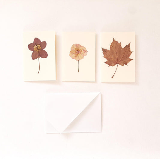 Set di tre biglietti auguri con fiori veri pressati e busta a origami