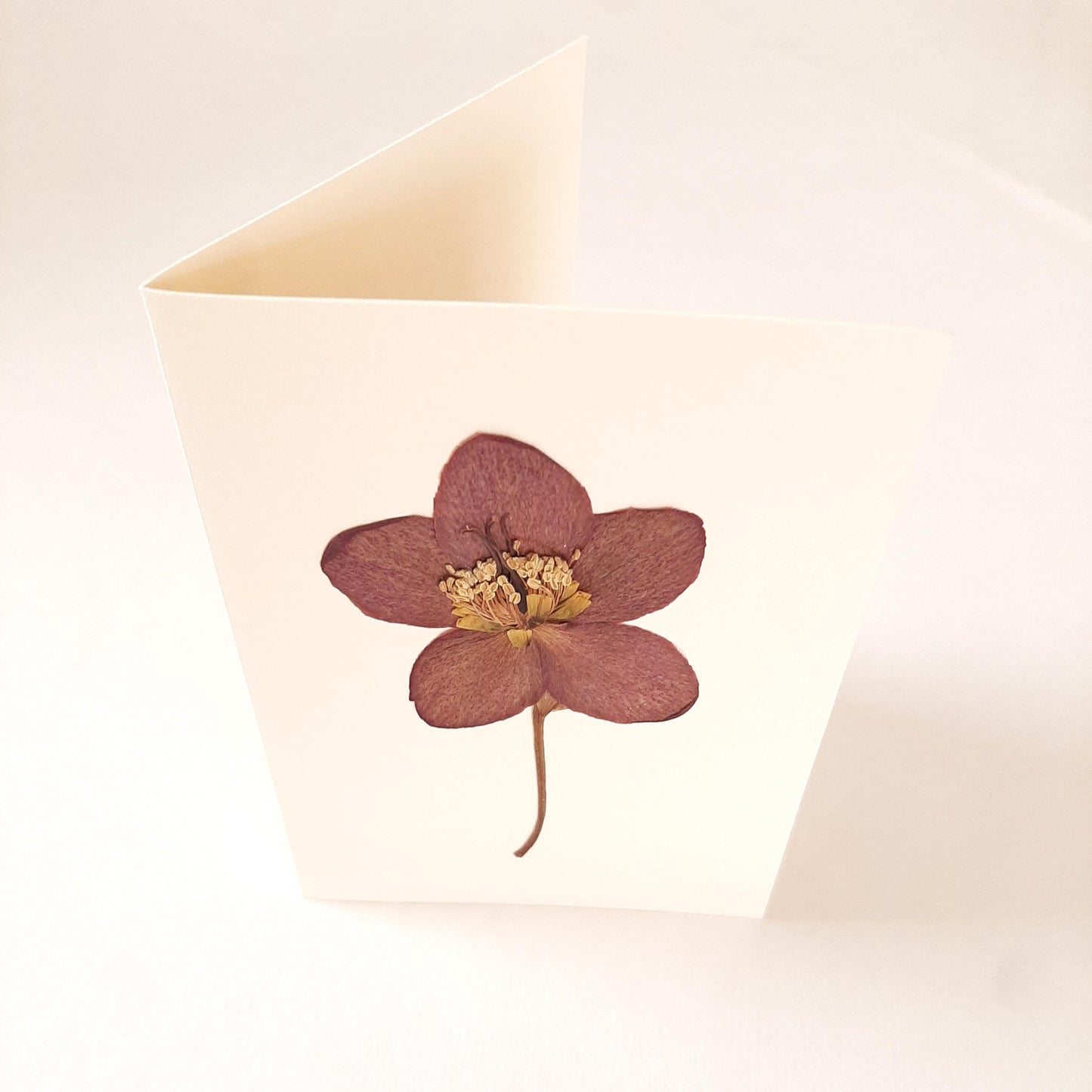 Set di tre biglietti auguri con fiori veri pressati e busta a origami