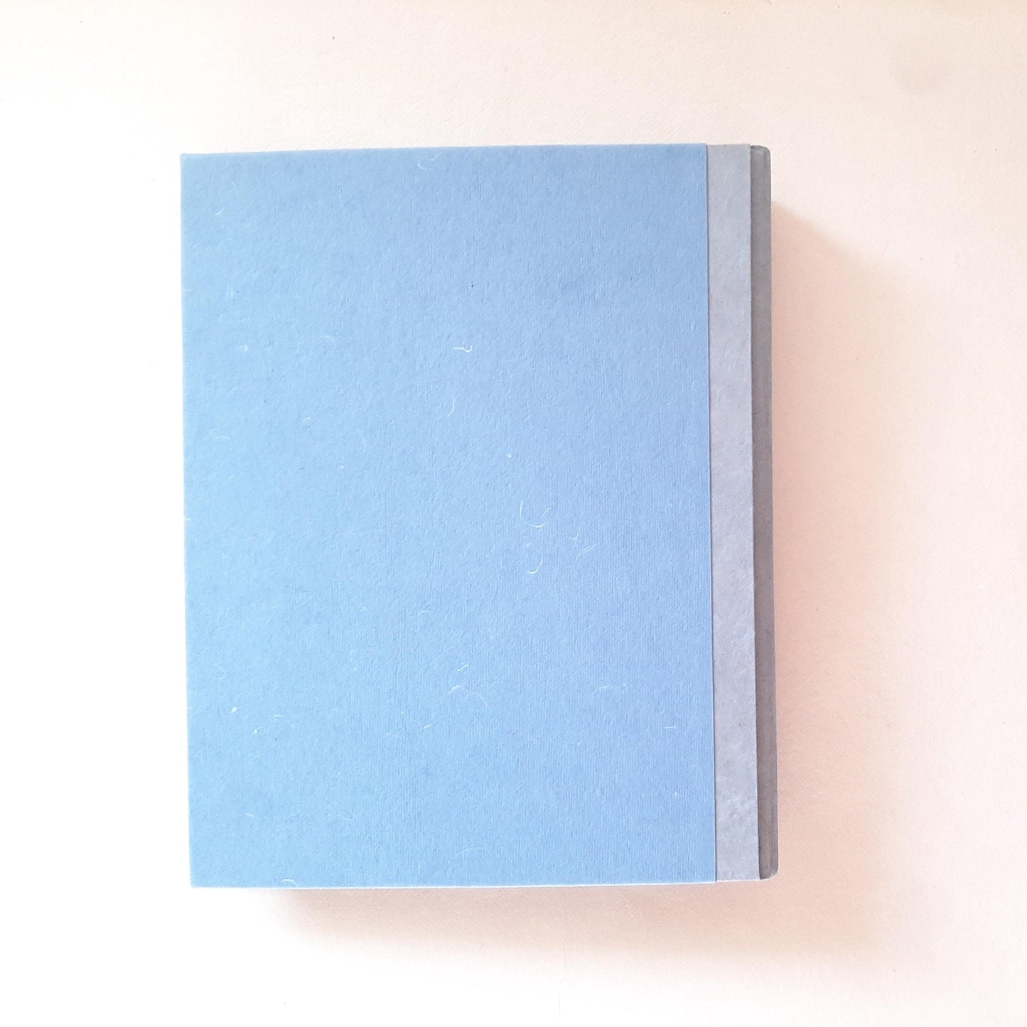 Album fotografico grande con fiore pressato di Nigella in ocra e azzurro pervinca