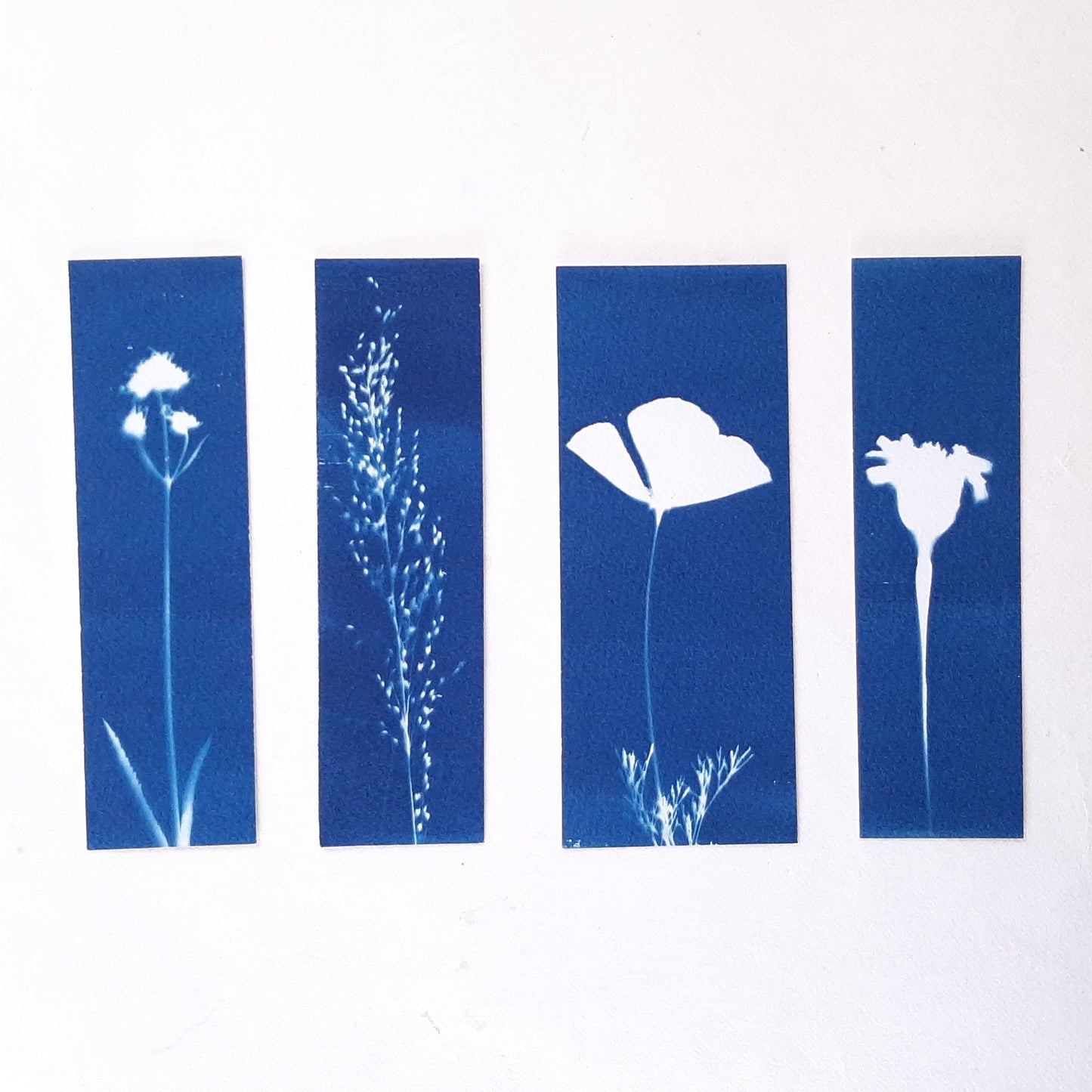 Set di quattro segnalibri con stampa botanica a Cianotipo