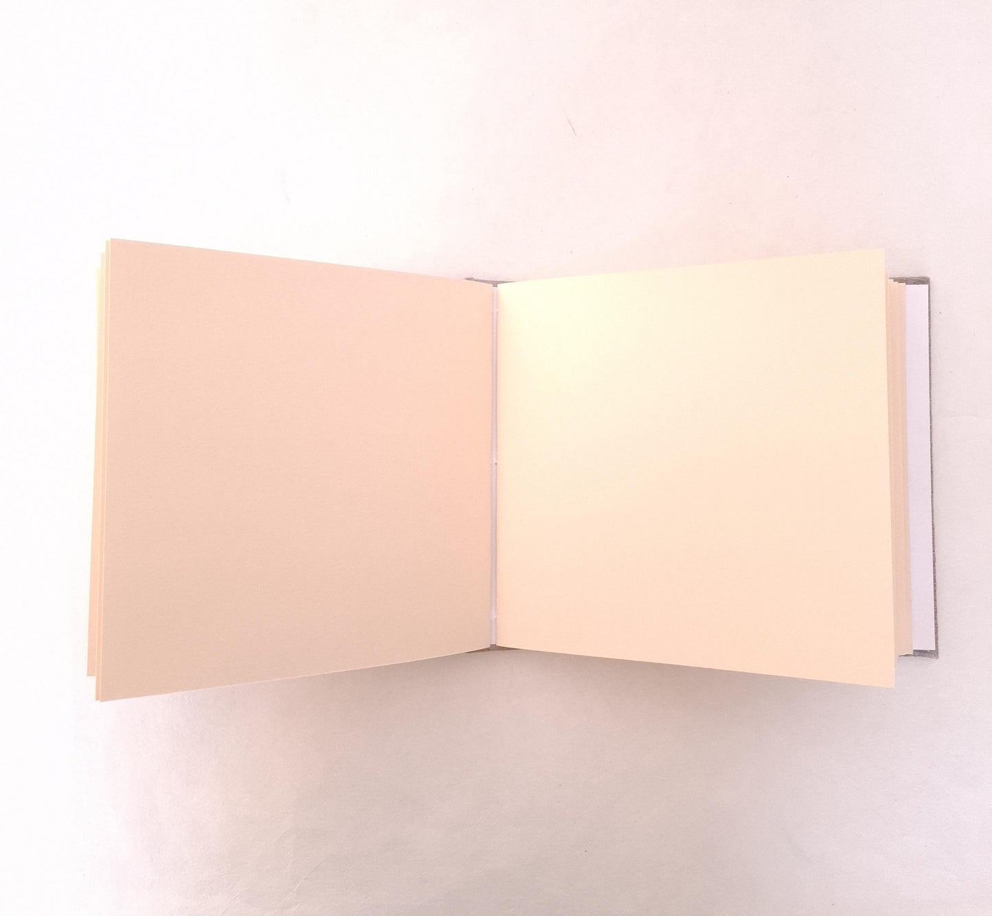 Album fotografico quadrato in malva e miele con fiore di Sambuco pressato