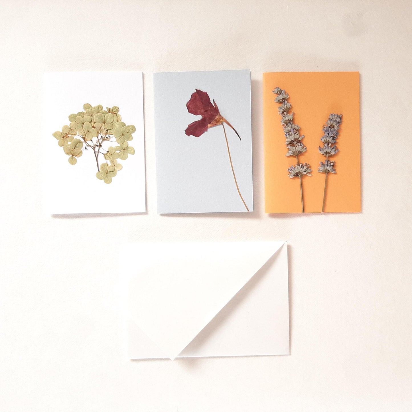 Biglietti con fiori pressati e busta Origami con Ortensia e Lavanda