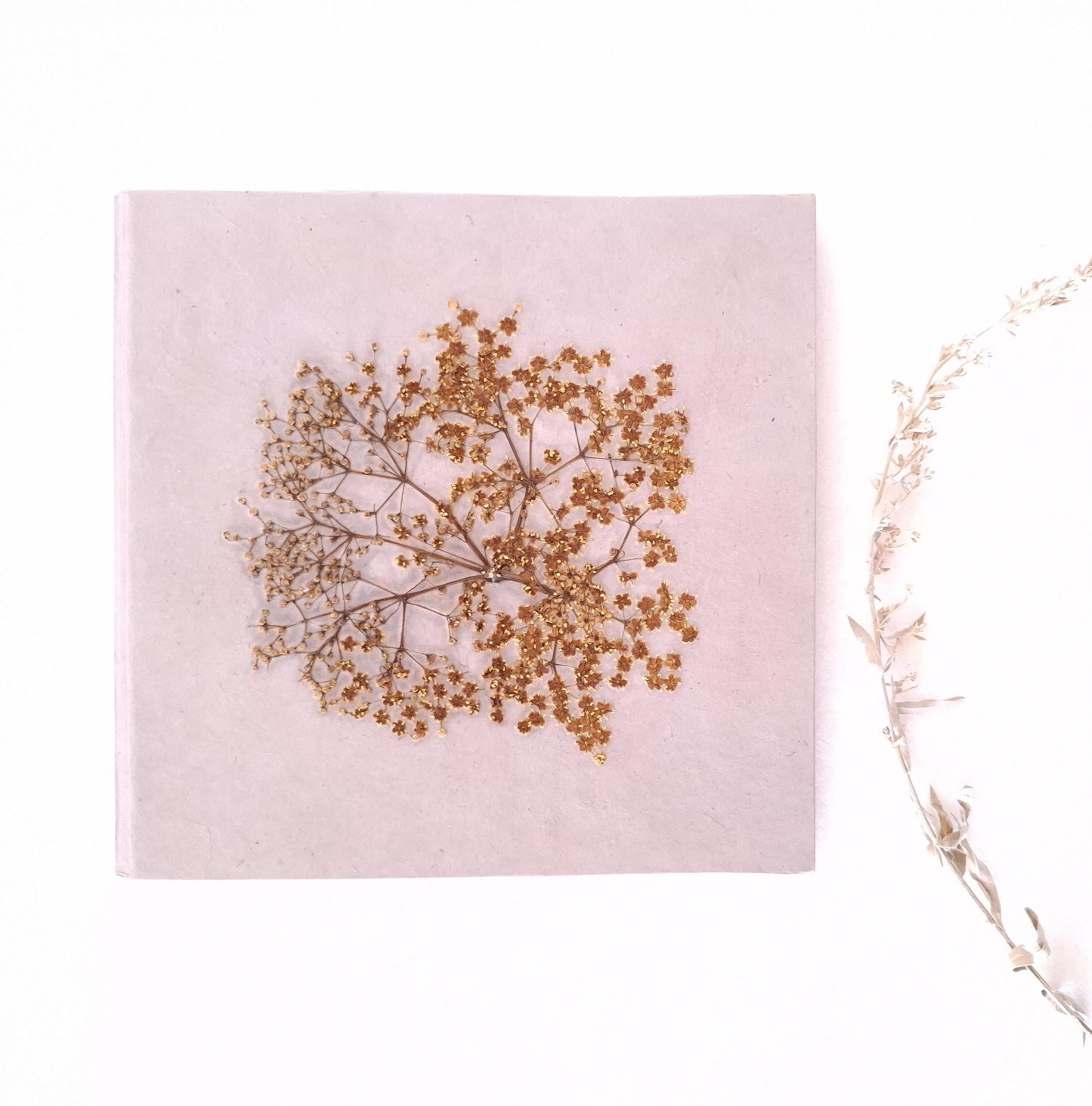 Album fotografico quadrato in malva e miele con fiore di Sambuco pressato