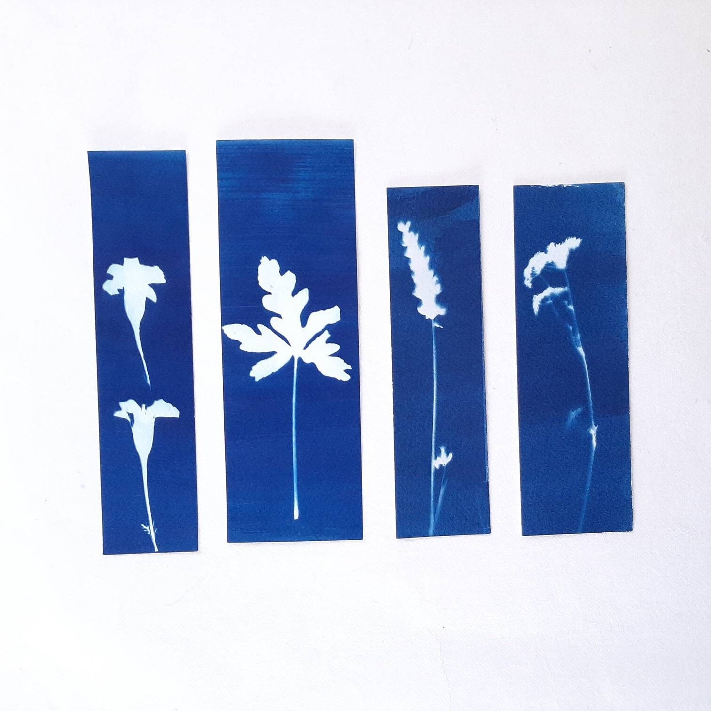 Set di quattro segnalibri con stampa botanica a Cianotipo