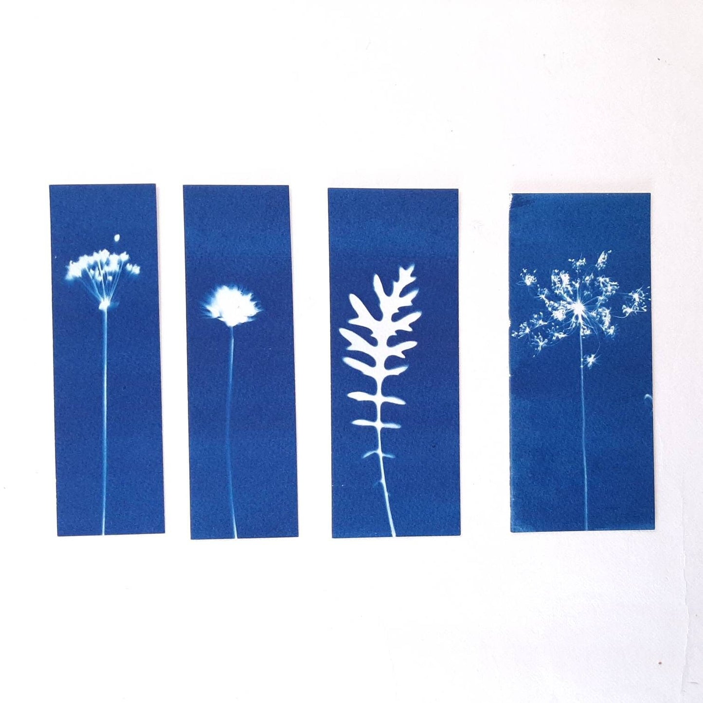 Set di quattro segnalibri con stampa botanica a Cianotipo