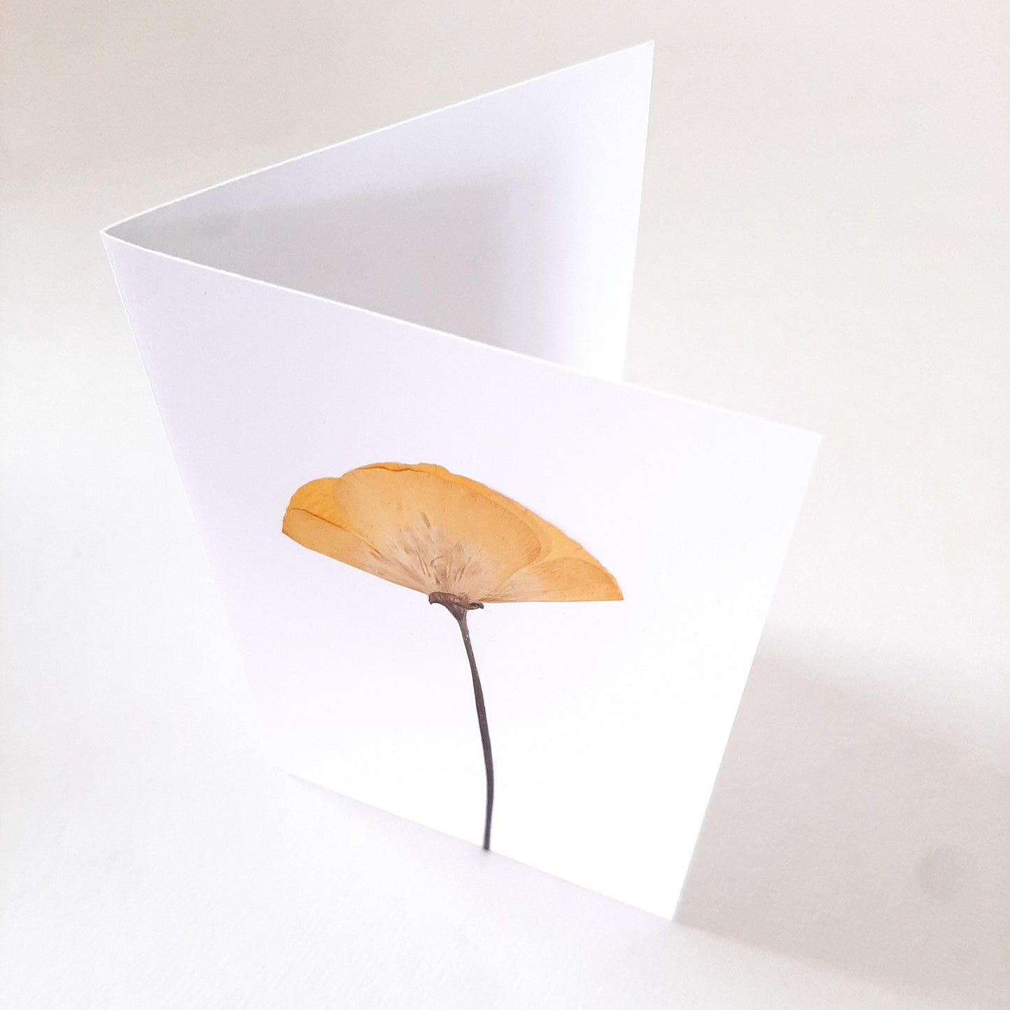 Biglietti auguri con Papavero e foglie pressati e busta origami