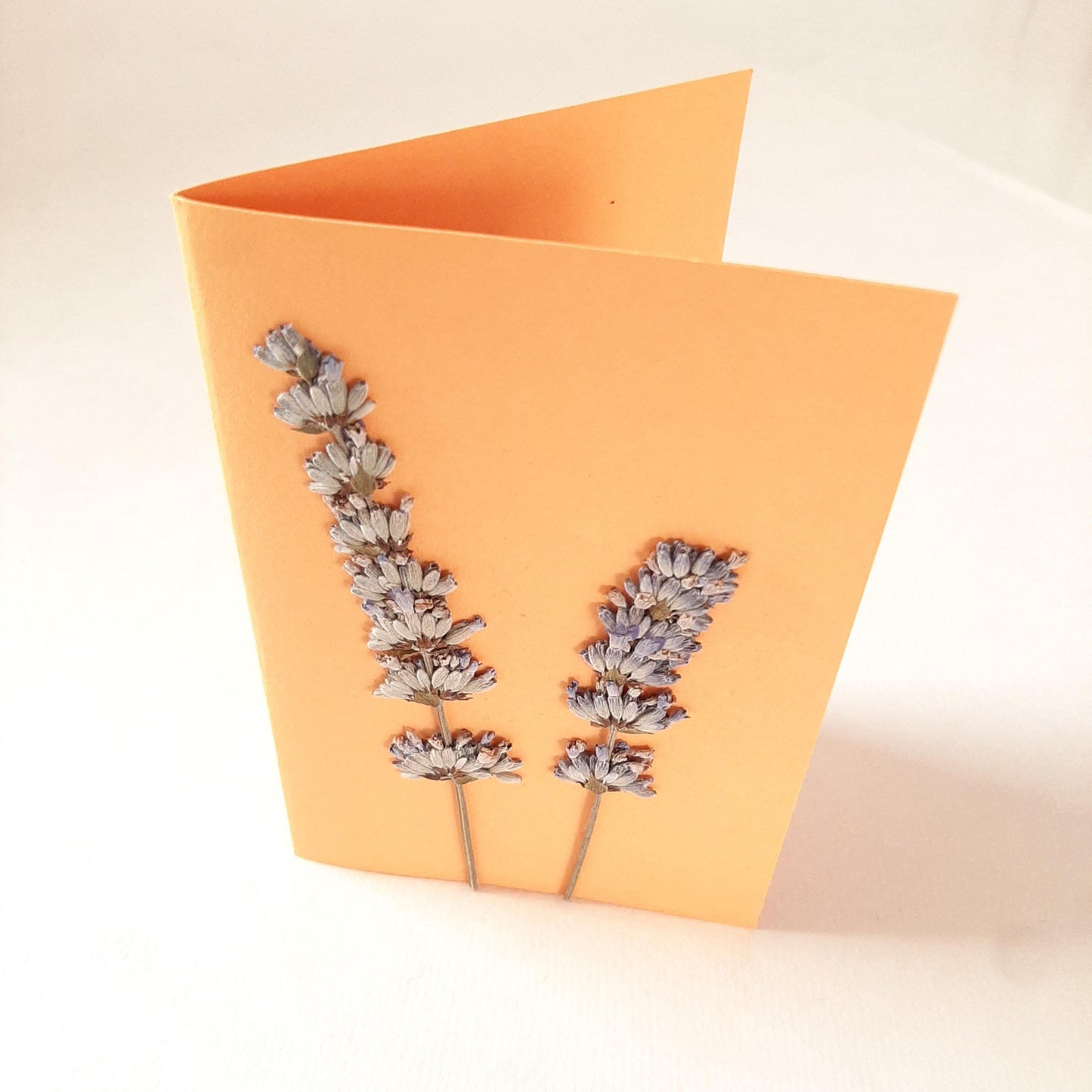 Biglietti con fiori pressati e busta Origami con Ortensia e Lavanda