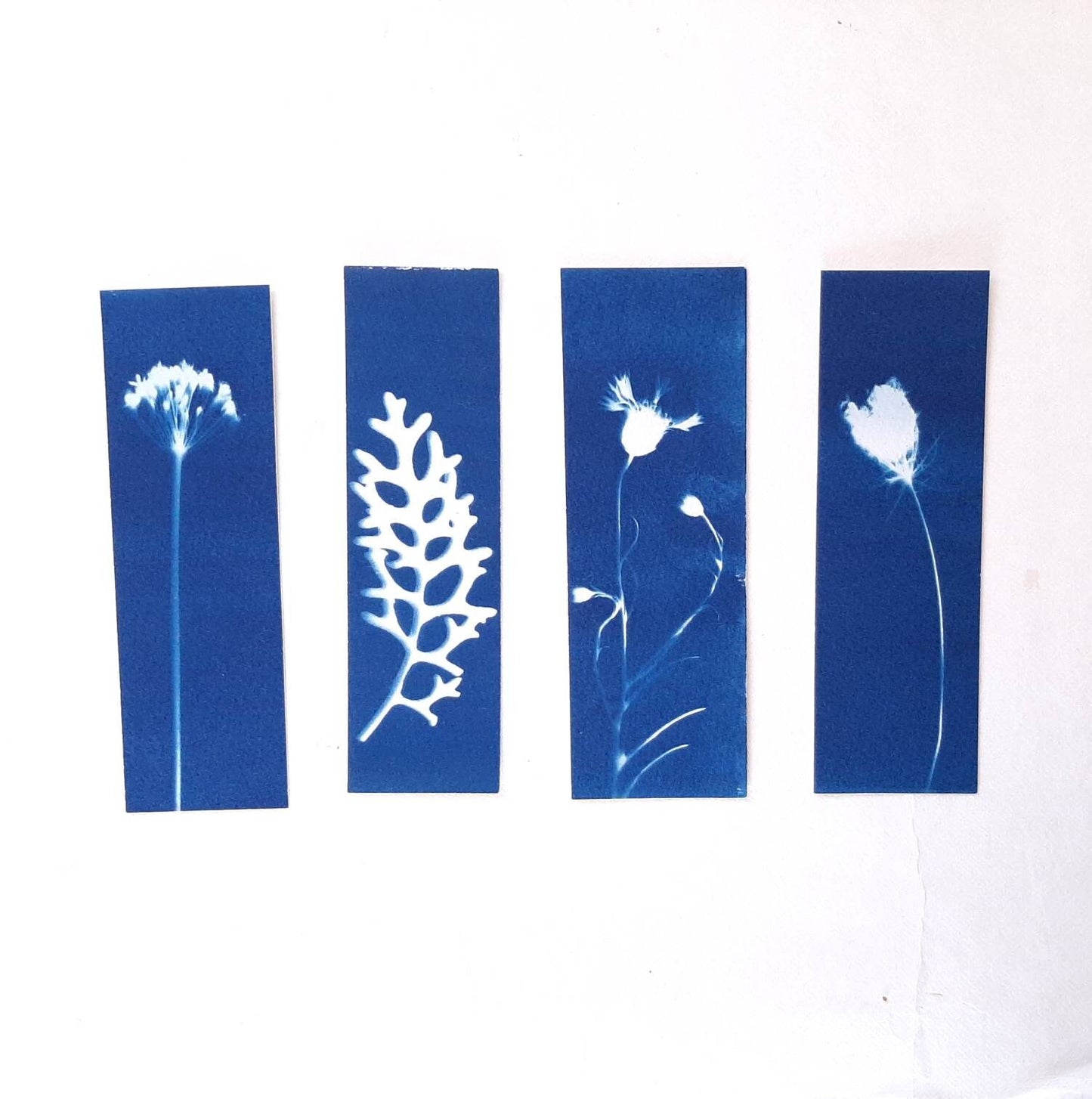 Set di quattro segnalibri con stampa botanica a Cianotipo