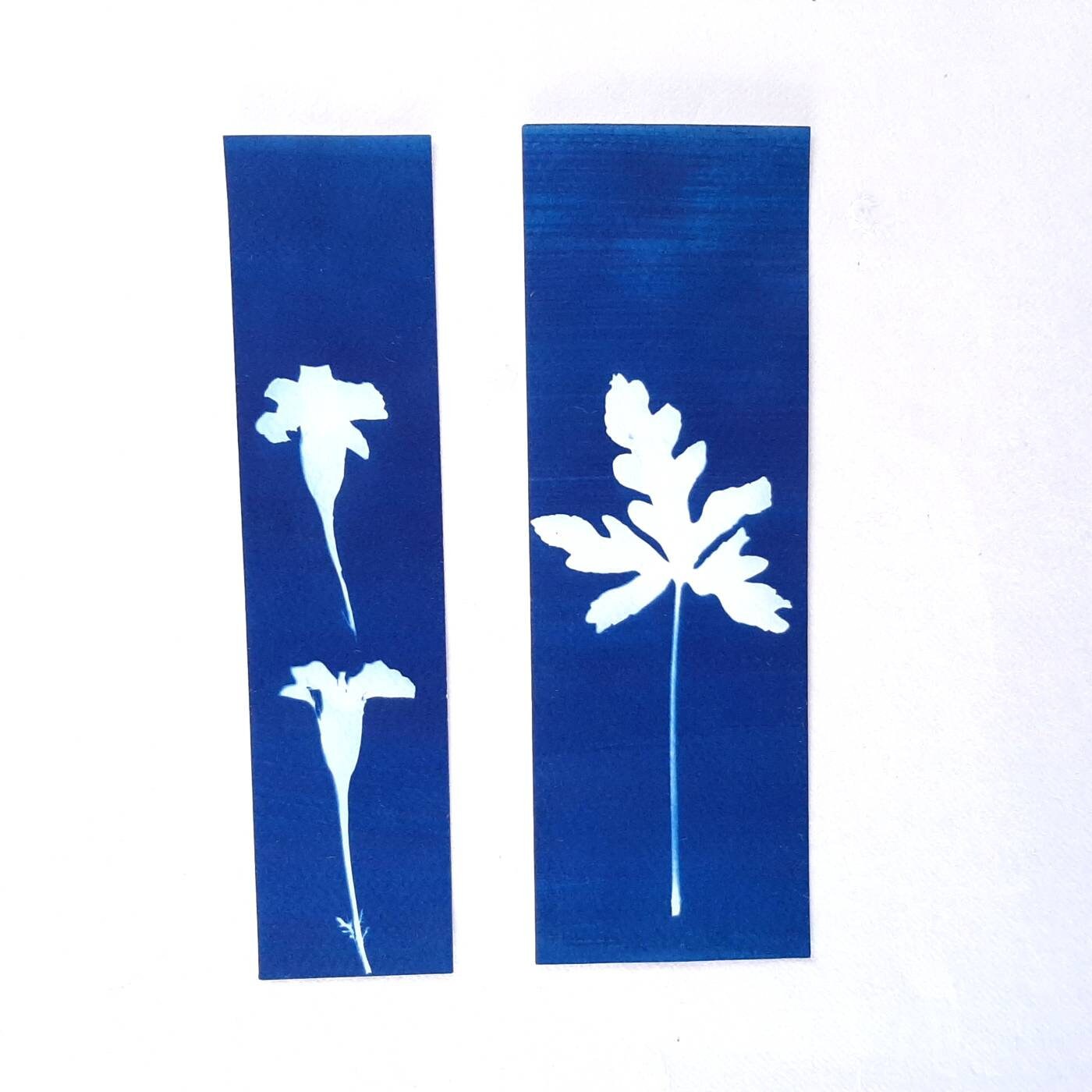 Set di quattro segnalibri con stampa botanica a Cianotipo