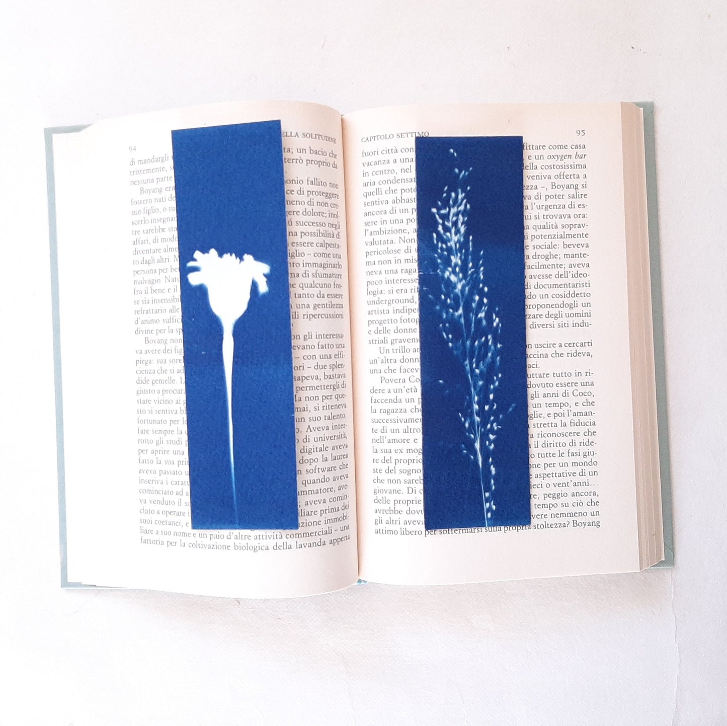 Set di quattro segnalibri con stampa botanica a Cianotipo
