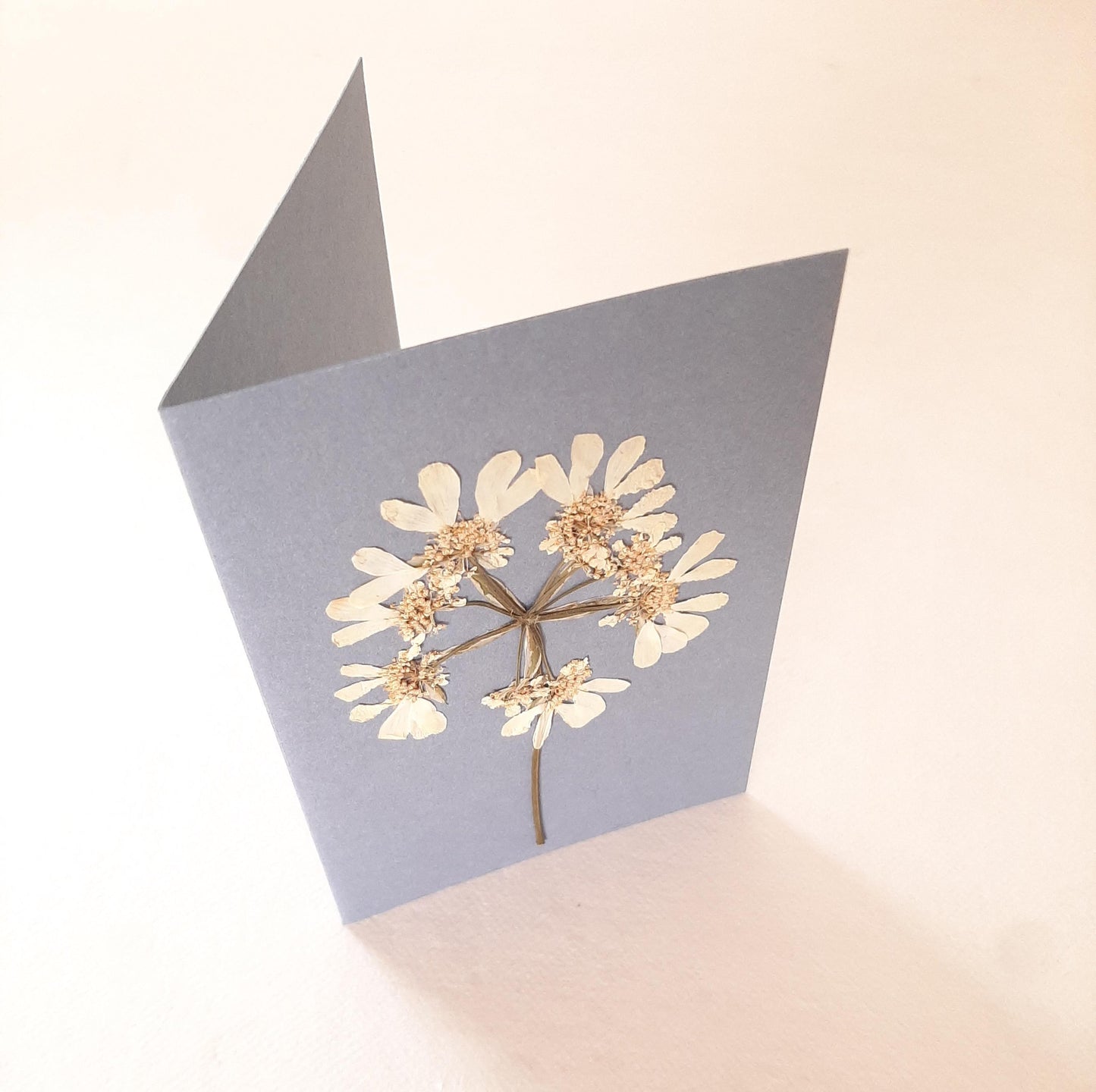 Set di biglietti di auguri con foglie e fiori veri pressati e busta Origami