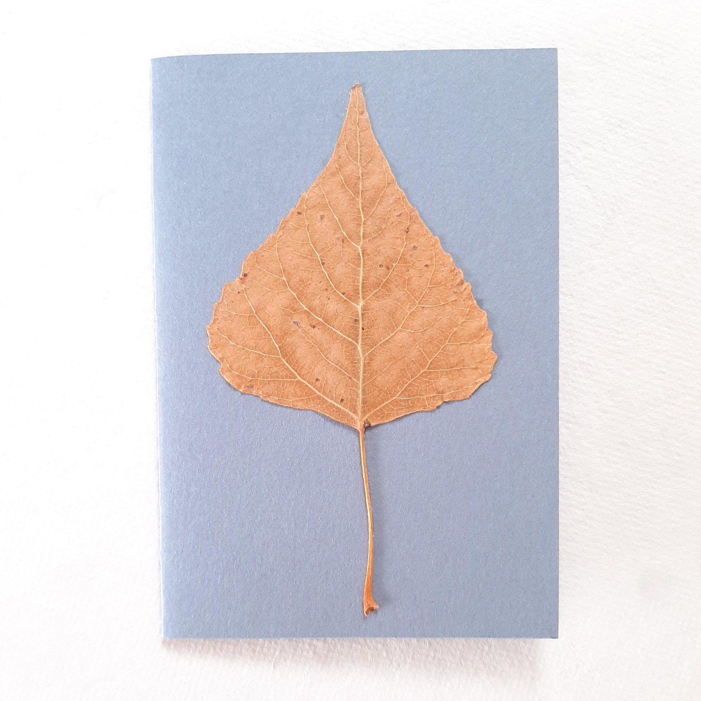 Biglietti auguri con Papavero e foglie pressati e busta origami