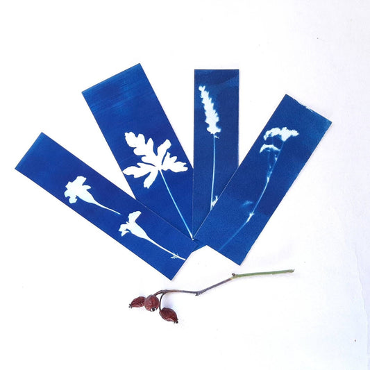 Set di quattro segnalibri con stampa botanica a Cianotipo