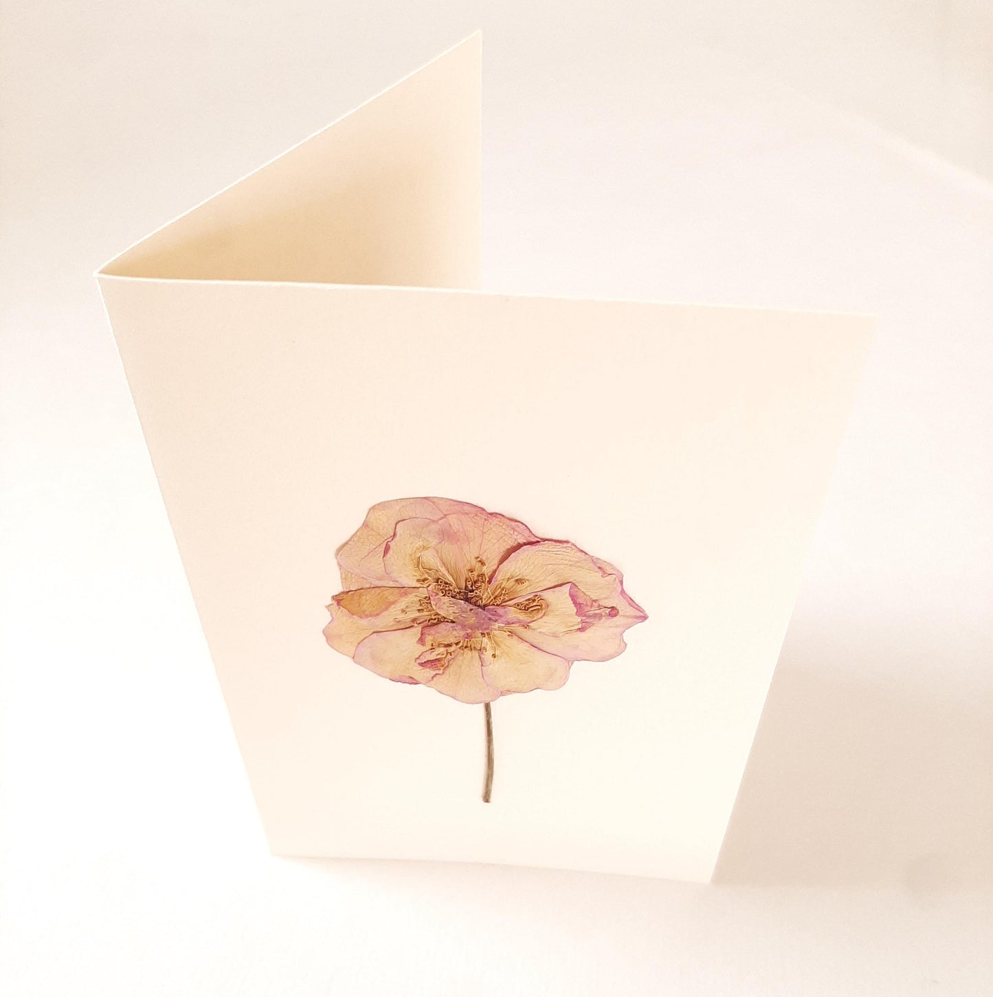 Set di tre biglietti auguri con fiori veri pressati e busta a origami