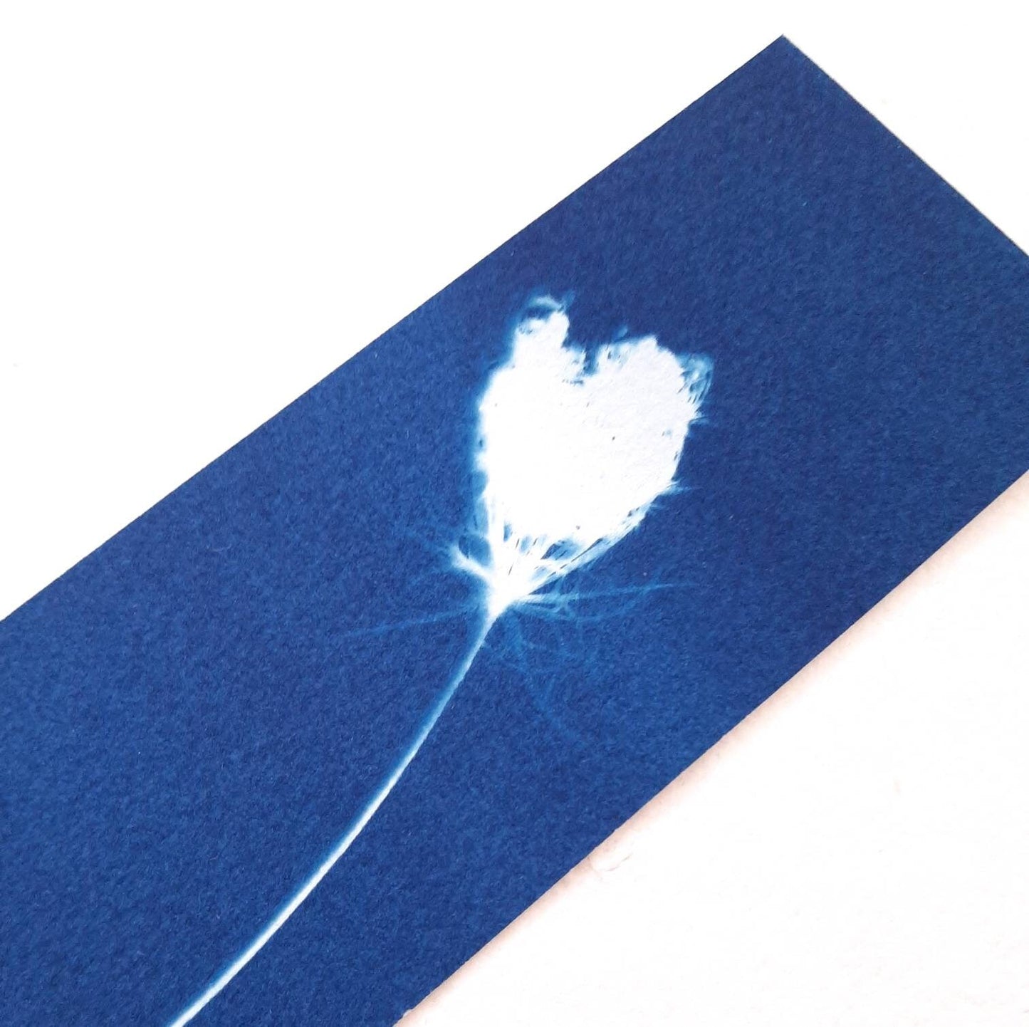 Set di quattro segnalibri con stampa botanica a Cianotipo