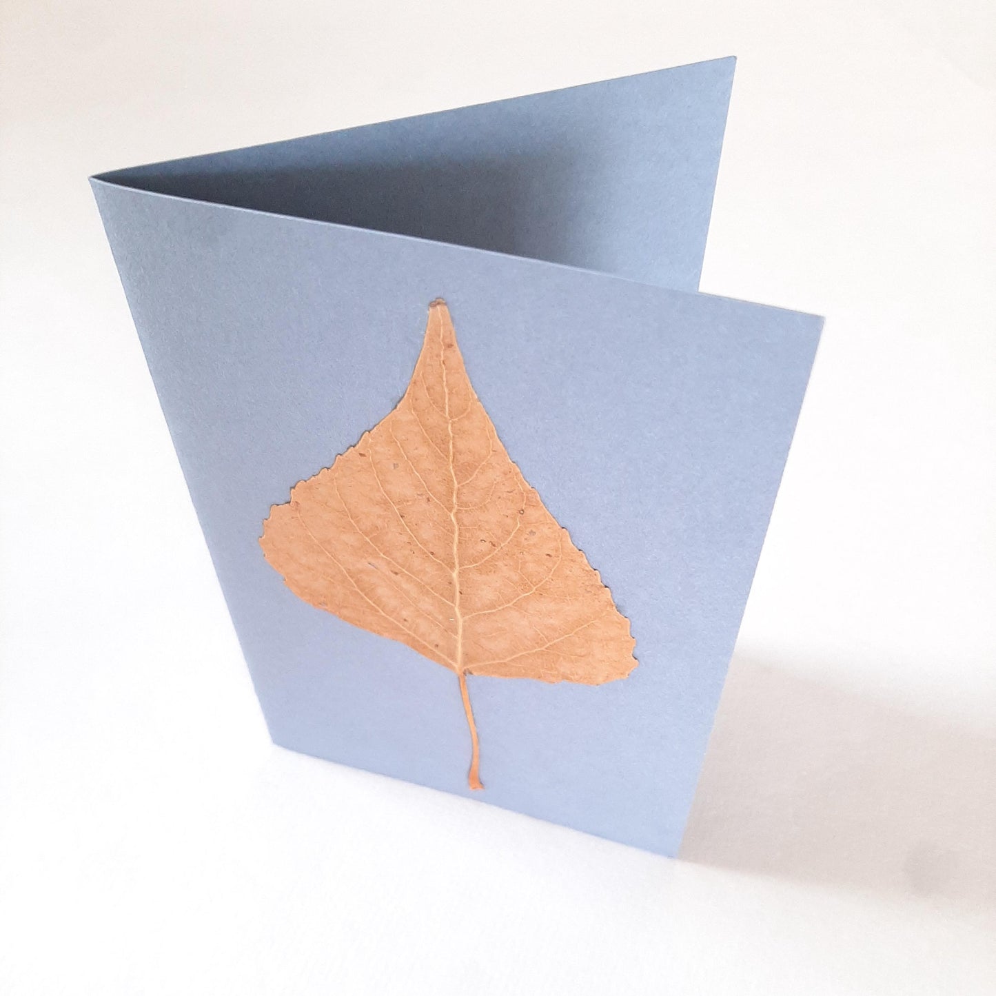 Biglietti auguri con Papavero e foglie pressati e busta origami