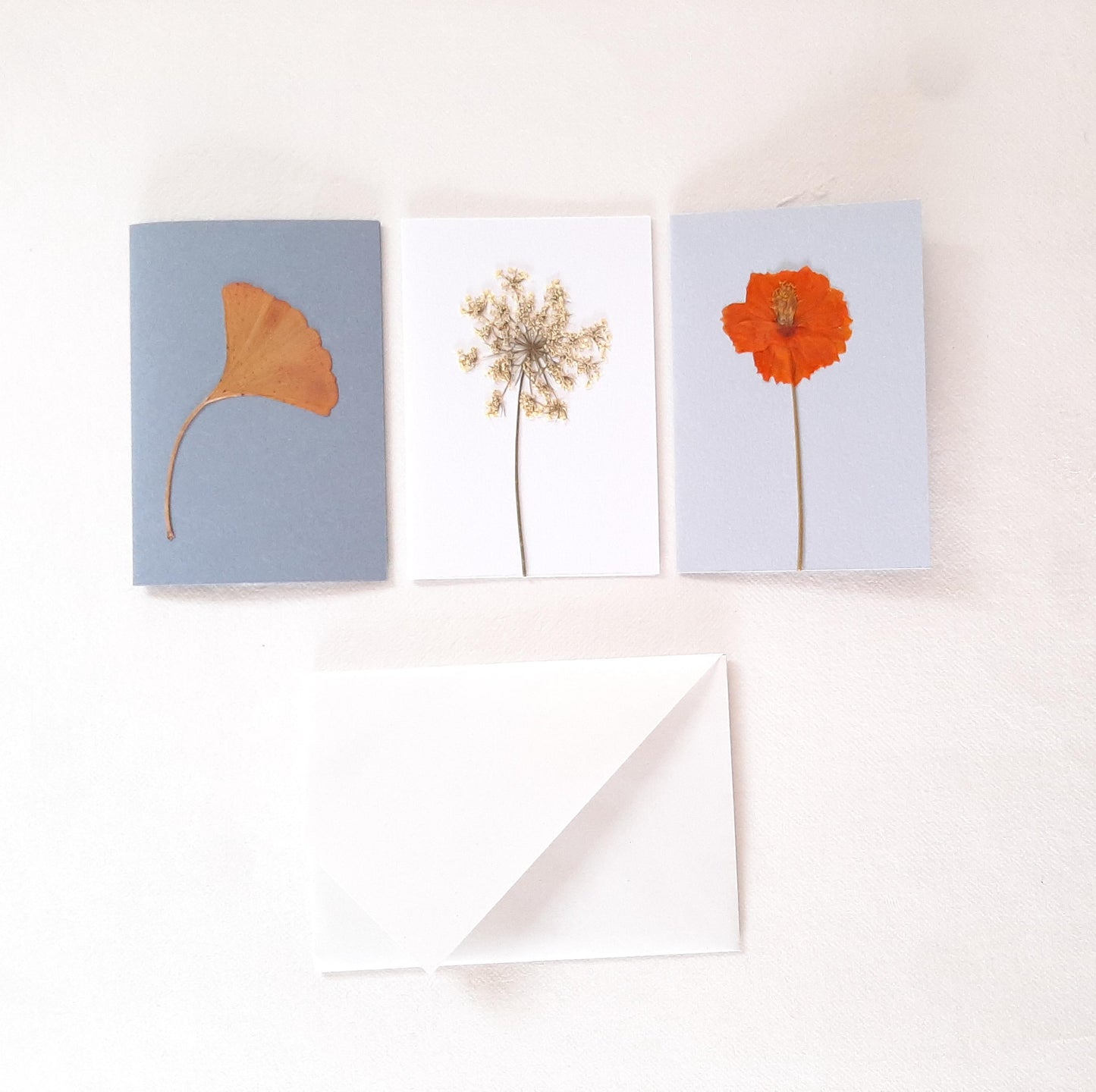 Set di tre biglietti con fiori e foglie veri pressati e busta origami