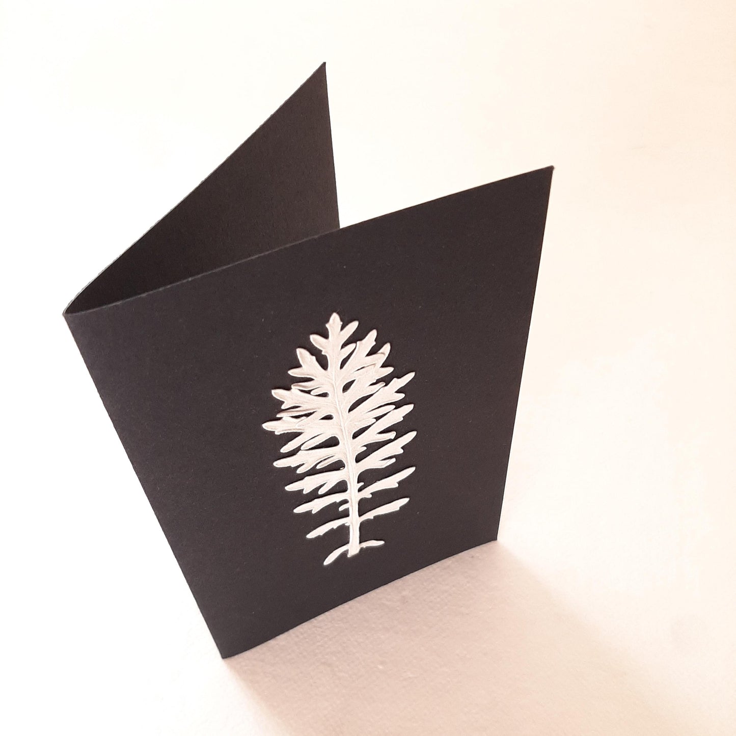 Set di biglietti di auguri con foglie e fiori veri pressati e busta Origami