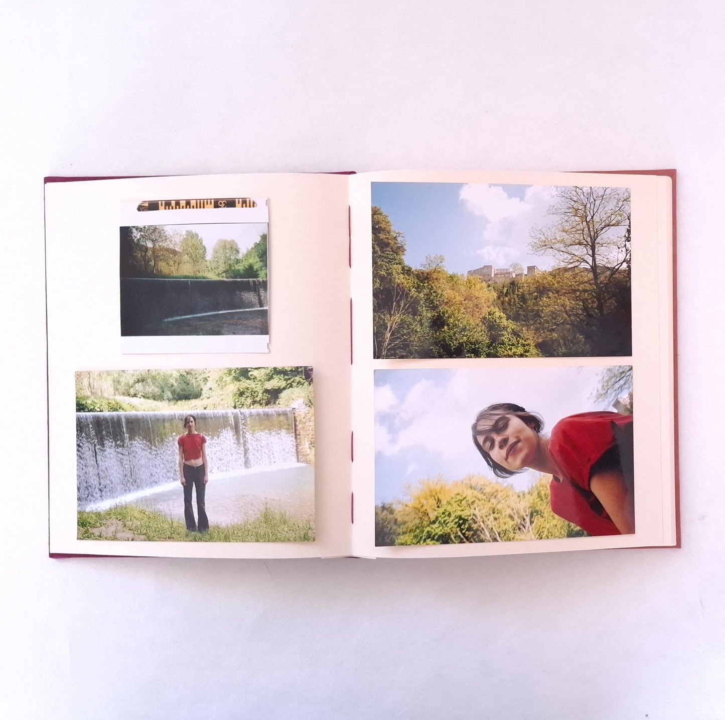 Album fotografico grande con fiore di Carota Selvatica pressato